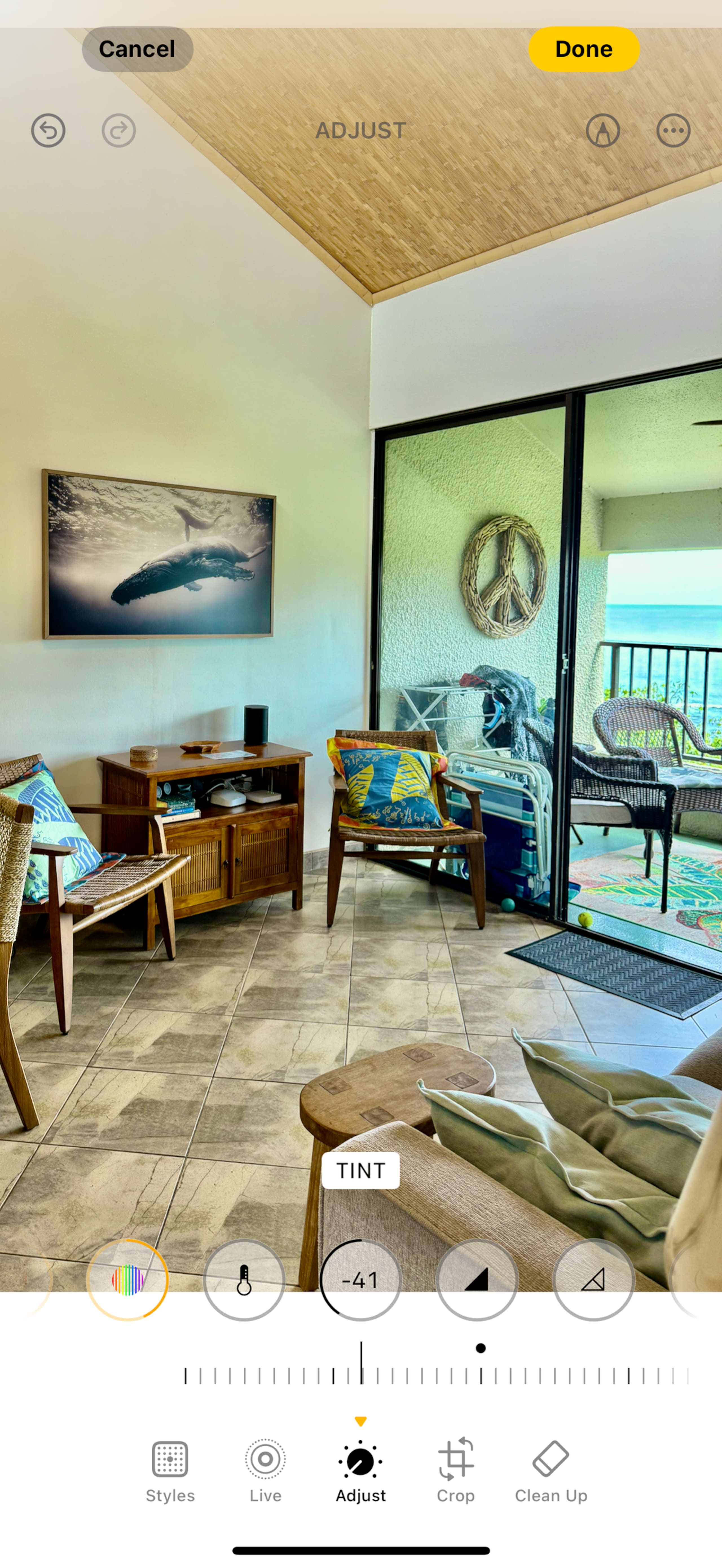 Tropical  Penthouse with Views - Mauna Loa shores - Image 4