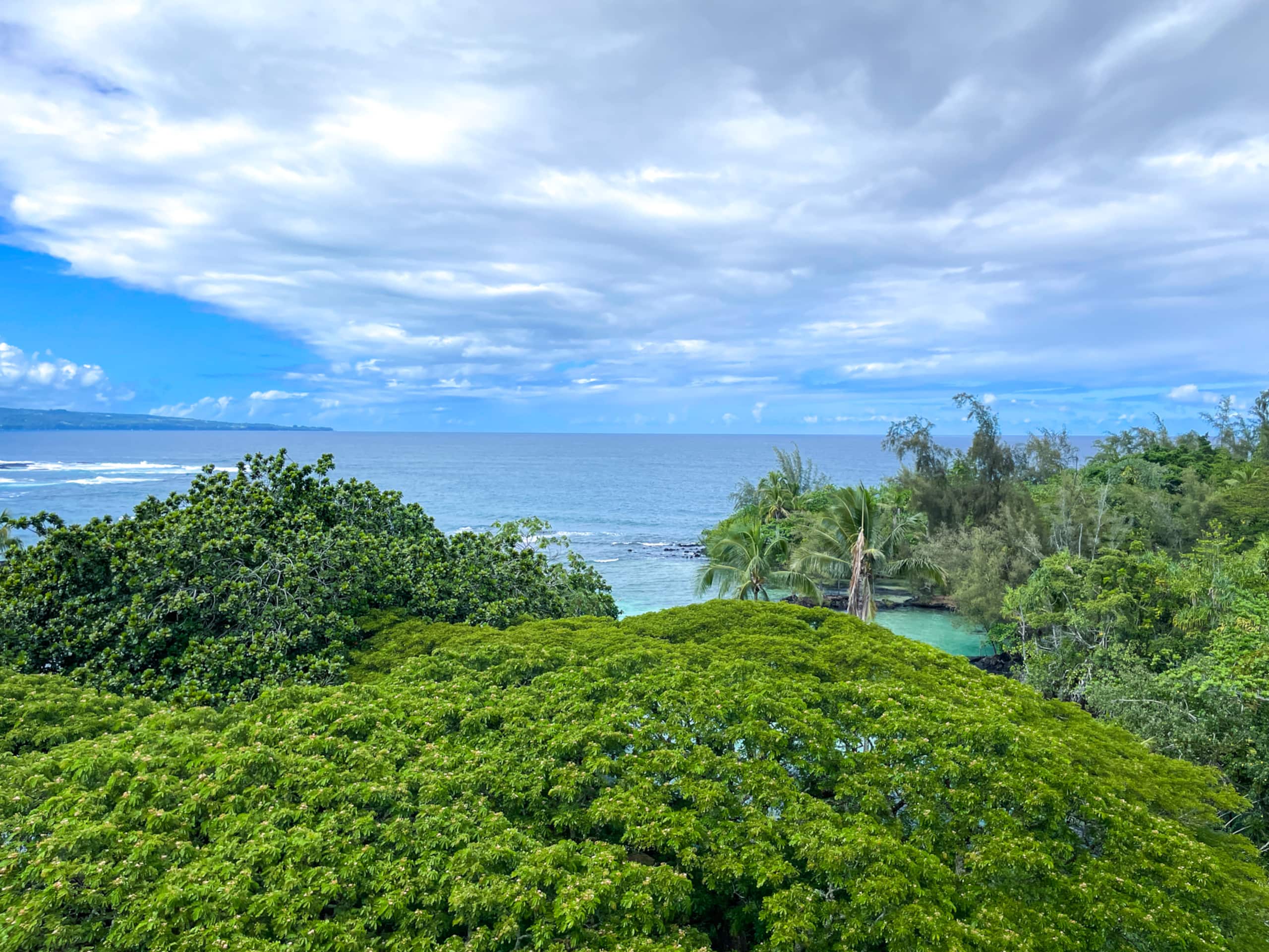 Tropical  Penthouse with Views - Mauna Loa shores - Image 15
