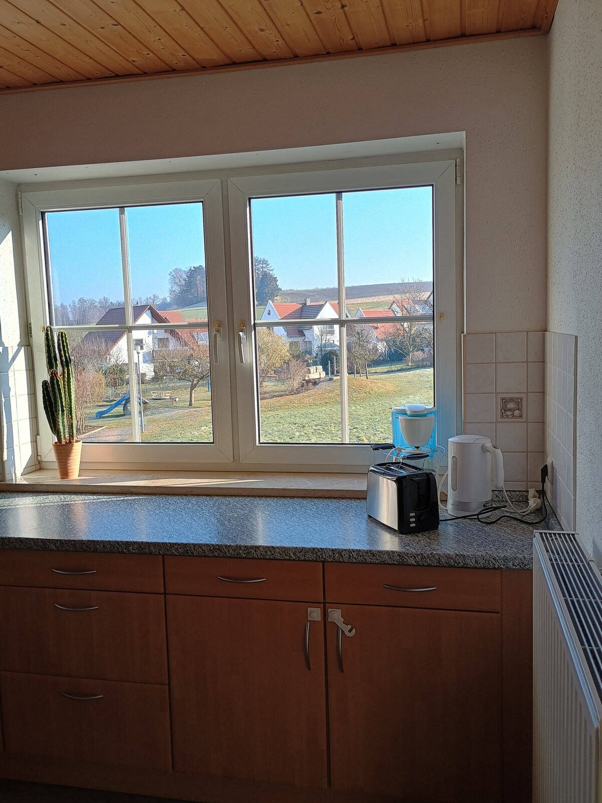 A bright kitchen is depicted, featuring a large window that offers a view of the surrounding green area and residential homes. The countertop is lined with a toaster, kettle, and a coffee maker, complemented by a small potted cactus and a radiator beneath the window.