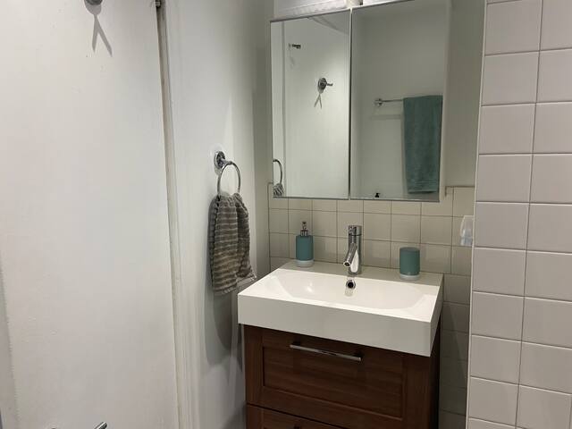 Rosemont La Petite Patrie appartement with terrace gallery image 4