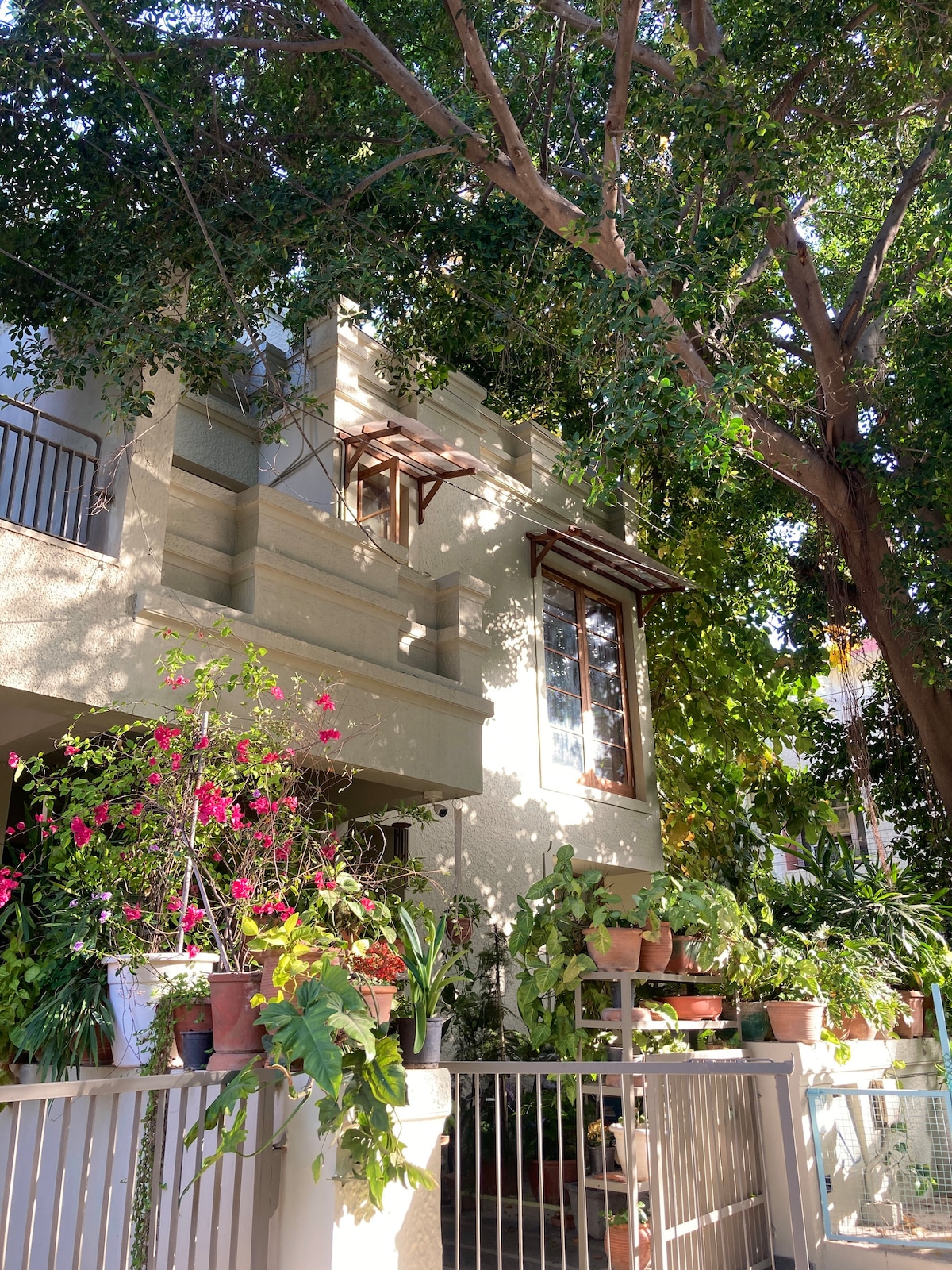 A charming duplex home is surrounded by lush greenery, featuring a variety of potted plants and vibrant flowers. Large windows allow natural light to flood the interior, while shade is provided by the tall trees in the vicinity.