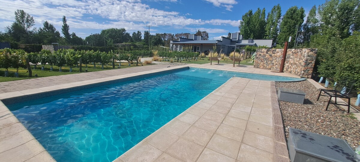 A clear swimming pool stretches across the image, surrounded by a stone deck. Lush greenery and a vineyard are visible in the background, while a modern building with a stone wall is positioned beyond the pool. Blue skies dotted with clouds add to the serene setting.