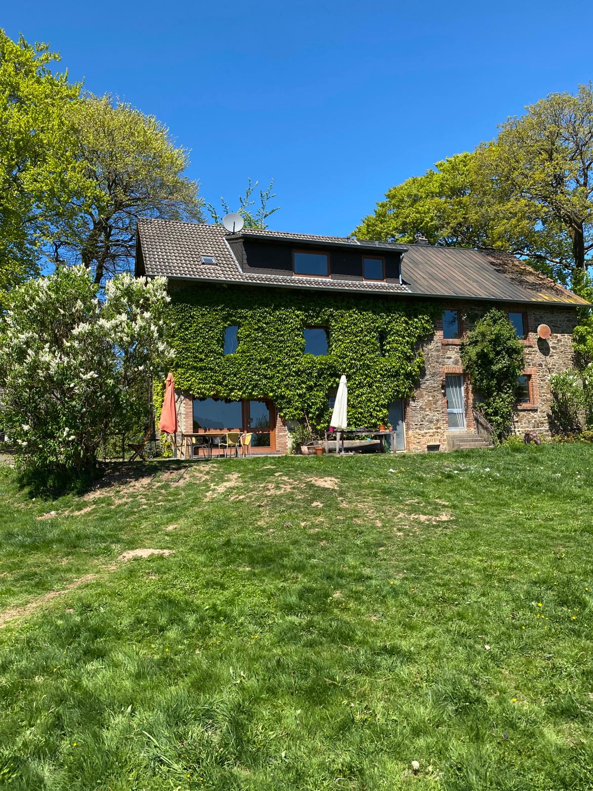 A charming house is enveloped in lush greenery, featuring a stone exterior. Large windows allow natural light to fill the space, while an inviting terrace with seating is accessible. Surrounding trees provide shade, creating a peaceful ambiance in the open grassy area.