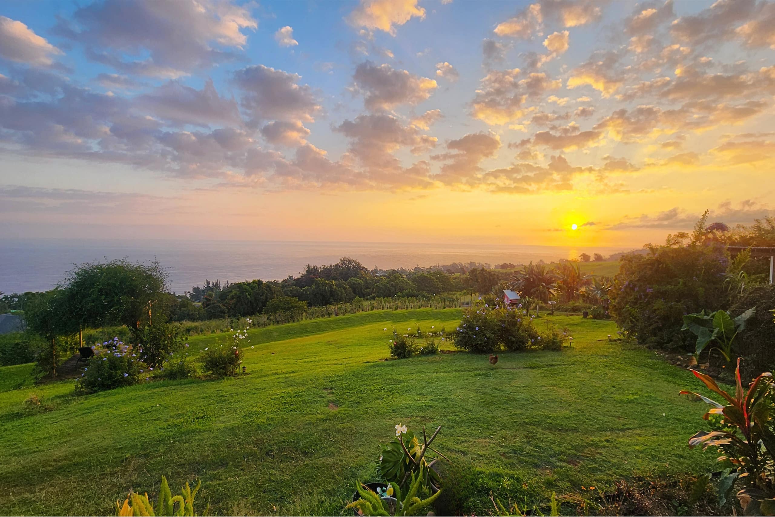 Farmhouse Estate Ocean Views, Sunrise & Waterfalls - Photo 36