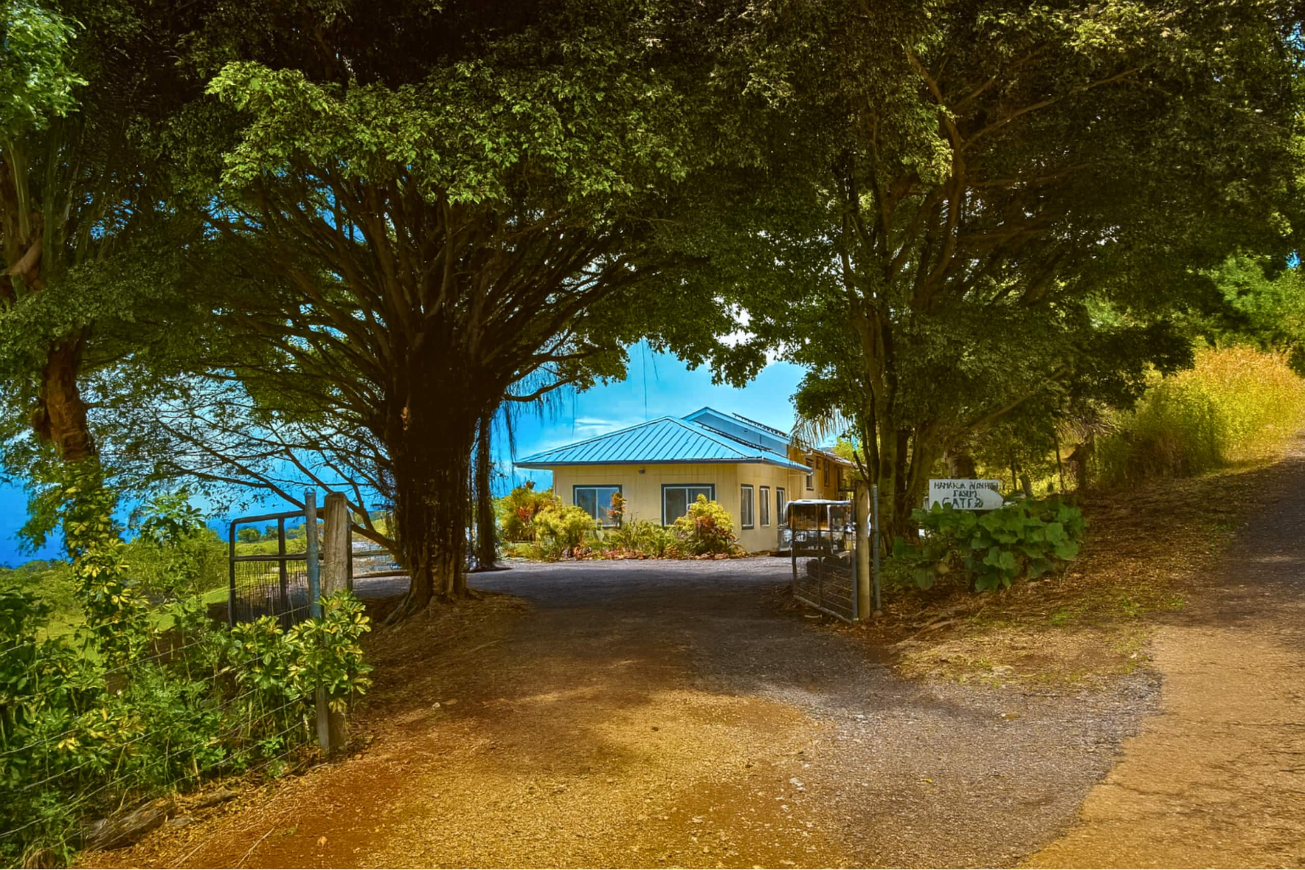 Farmhouse Estate Ocean Views, Sunrise & Waterfalls - Photo 48