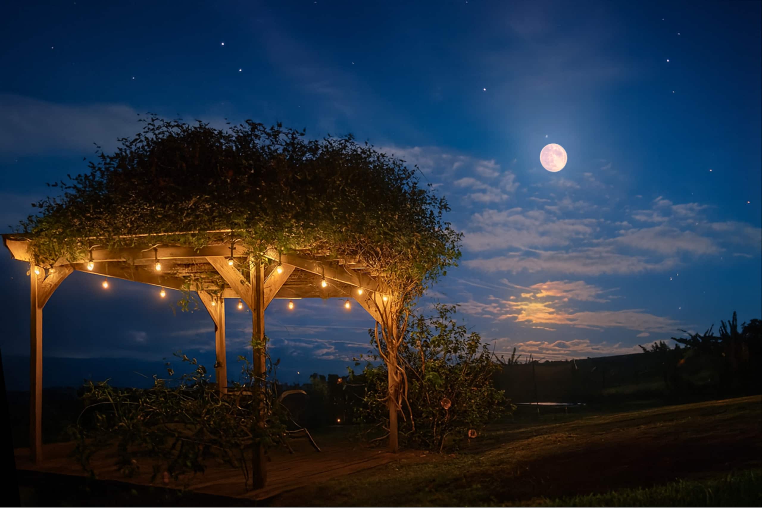 Farmhouse Estate Ocean Views, Sunrise & Waterfalls - Photo 39