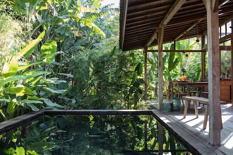 Warm tropical villa with soul