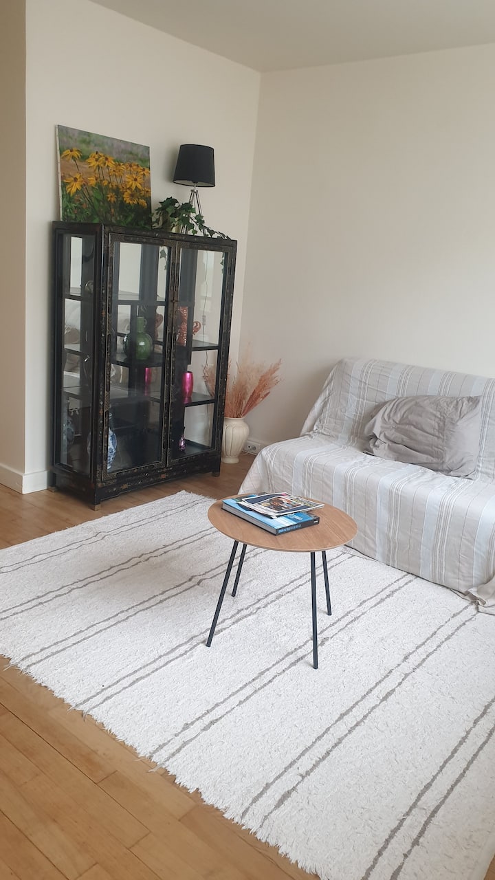 Appartement F3 Entier à Coté Rer B Antony - Antony