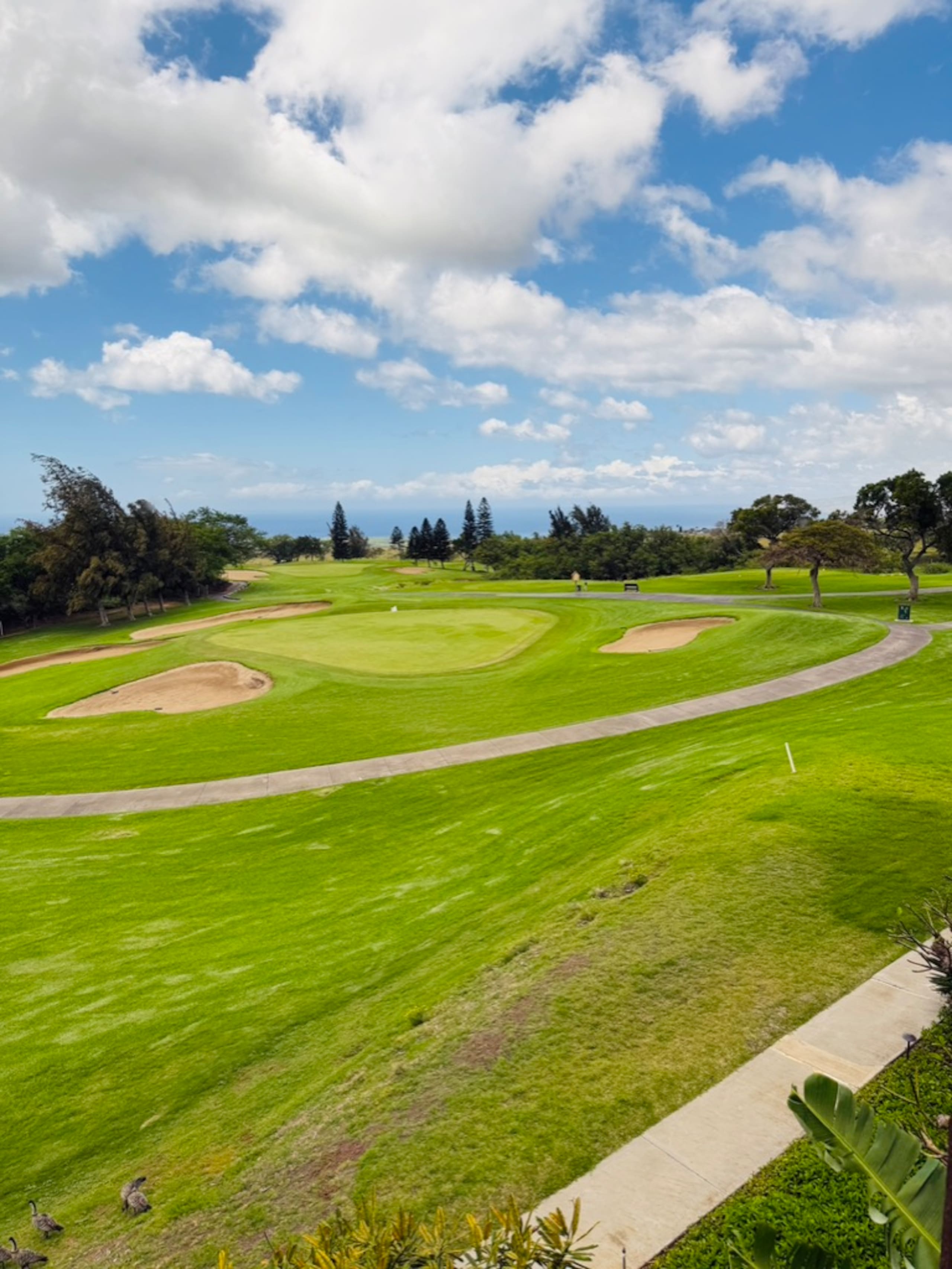 Condo in Waikoloa Village · ★5.0 · 2 bedrooms · 2 beds · 2 baths - Photo 26