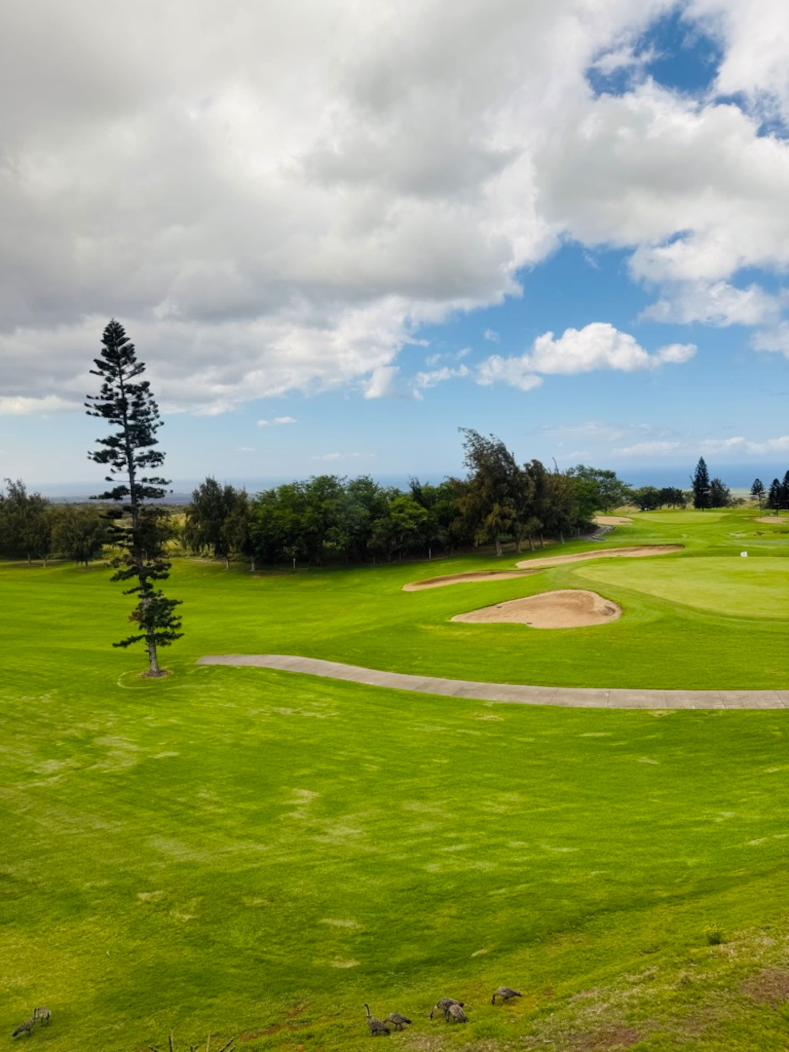 Condo in Waikoloa Village · ★5.0 · 2 bedrooms · 2 beds · 2 baths - Photo 27
