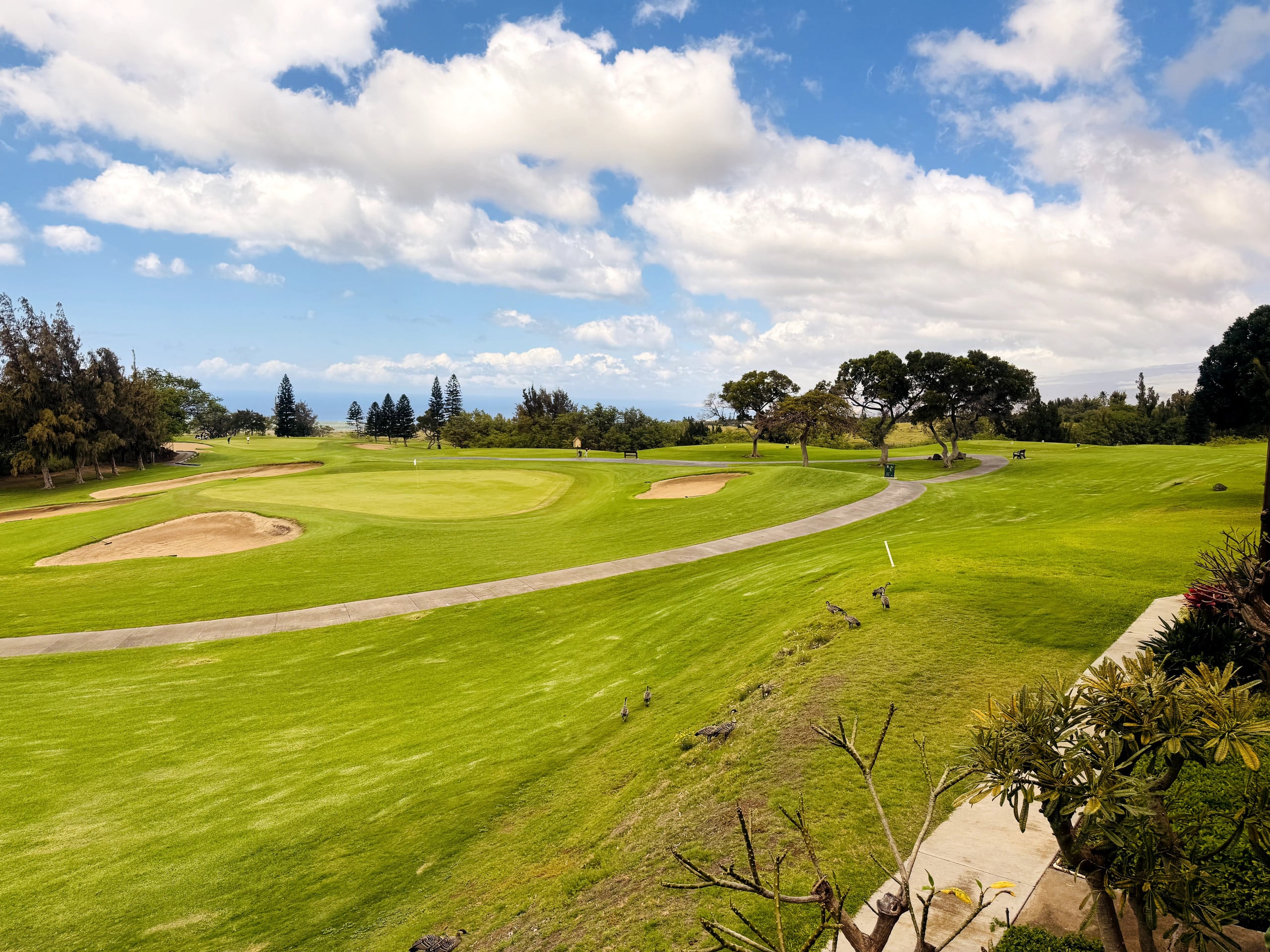 Condo in Waikoloa Village · ★5.0 · 2 bedrooms · 2 beds · 2 baths - Photo 24