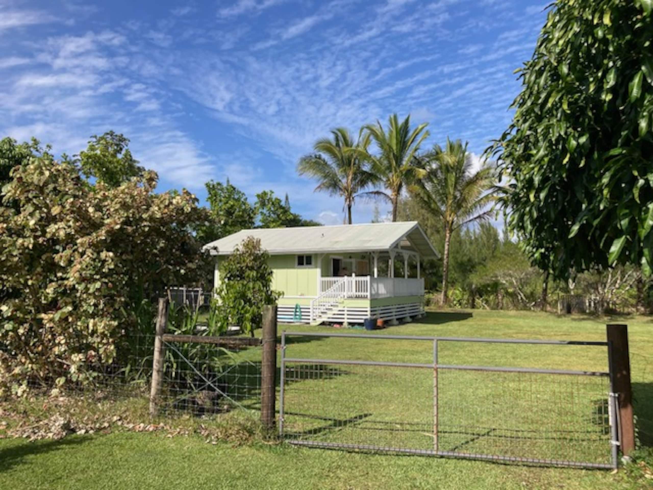 Cabin in Keaau · ★4.92 · 1 bedroom · 2 beds · 1 private bath - Image 11
