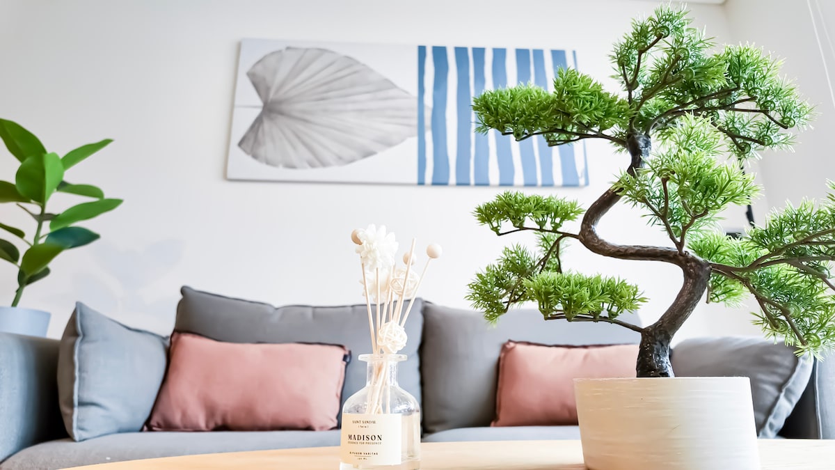 Опуштете се на удобен футон, со природна светлина, декор со топол тон и внимателно осмислени детали за да се чувствувате како дома ️✨

