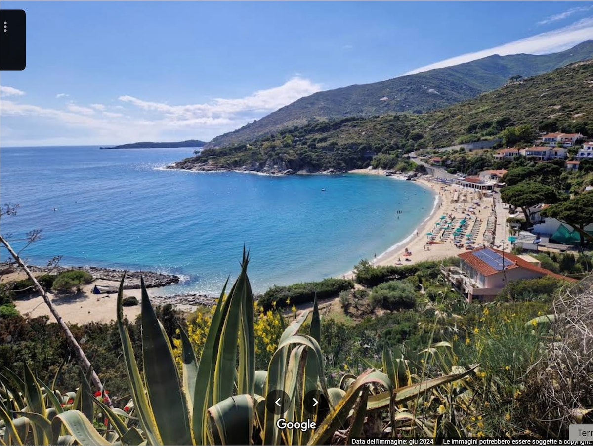 A panoramic view captures a tranquil beach surrounded by lush green hills. Soft sands meet clear blue waters, while beachgoers are seen enjoying the sun. The shoreline is dotted with umbrellas and sunbeds, creating a welcoming atmosphere for relaxation.