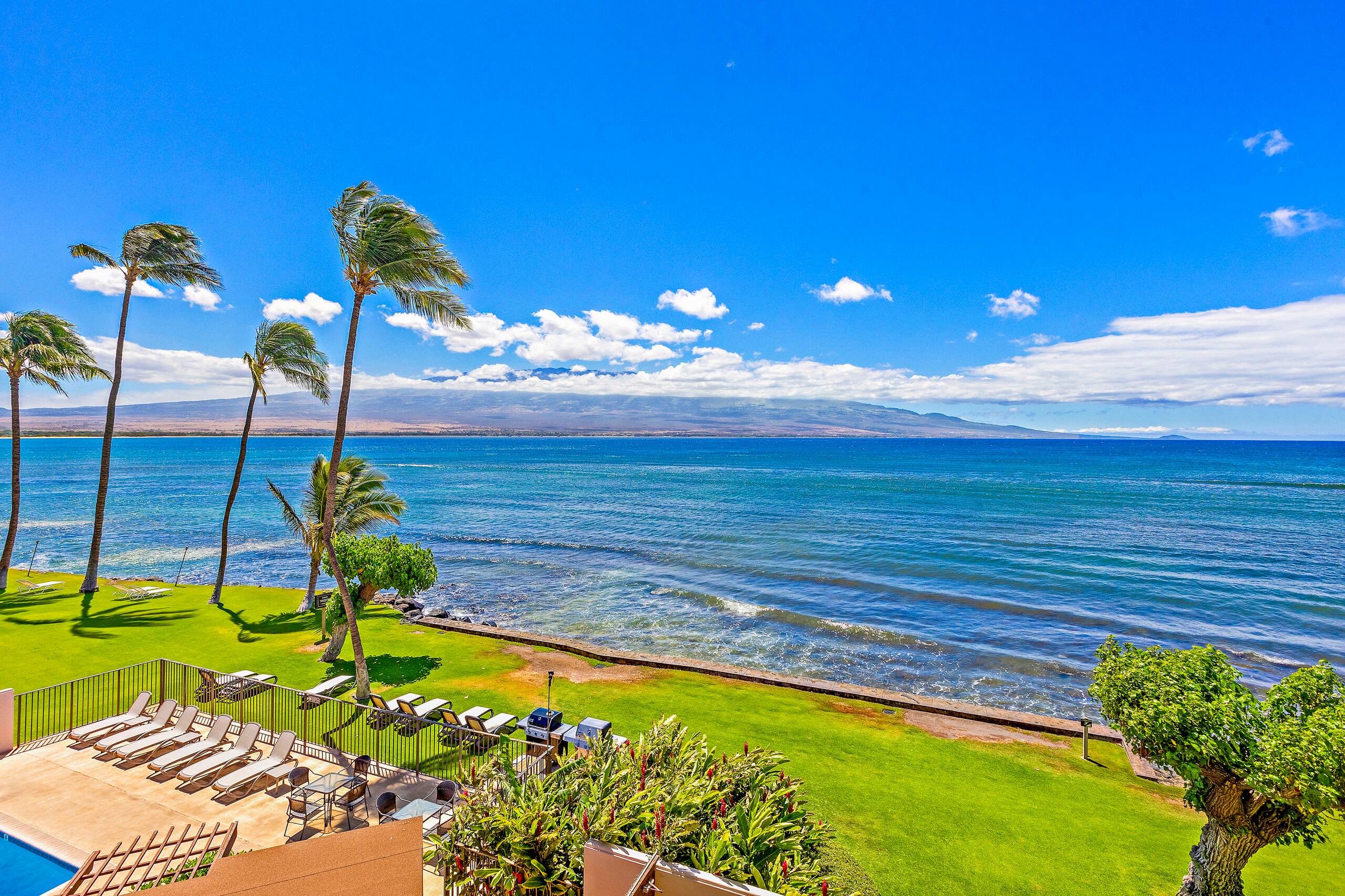 Condo in Wailuku · ★4.91 · 1 bedroom · 1 bed · 1 bath - Image 25
