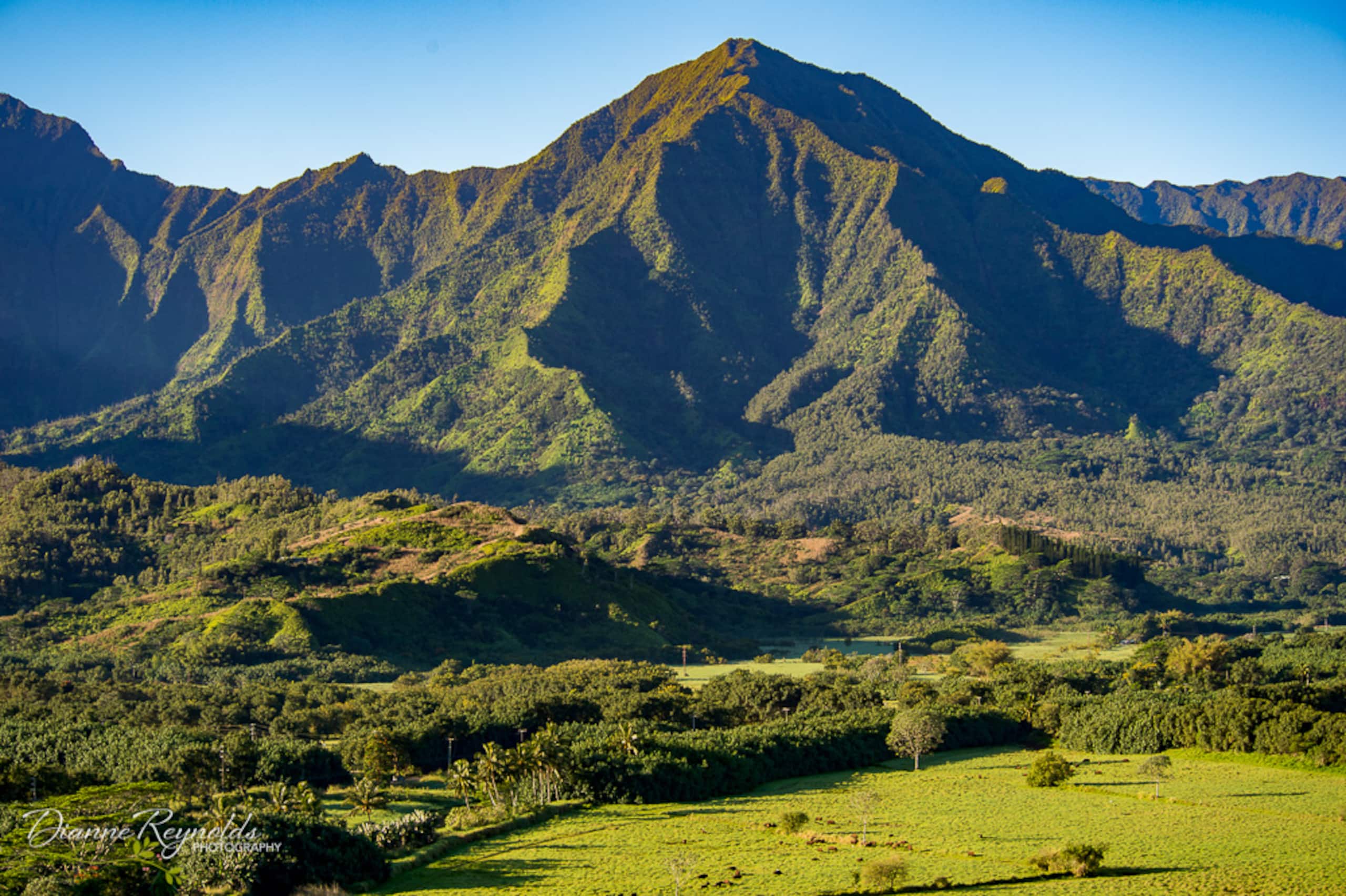 Condo in Princeville · ★4.96 · 1 bedroom · 2 beds · 1 private bath - Image 25
