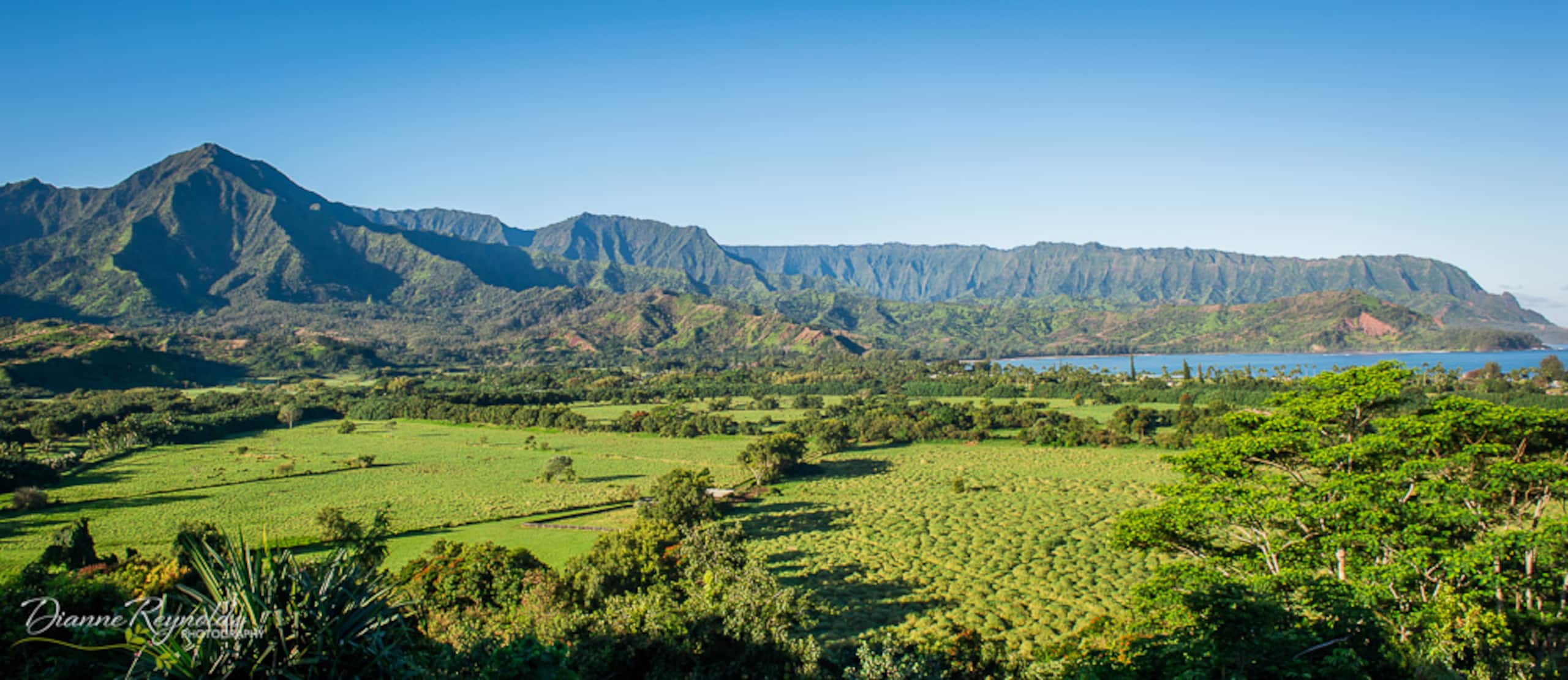Condo in Princeville · ★4.96 · 1 bedroom · 2 beds · 1 private bath - Image 29