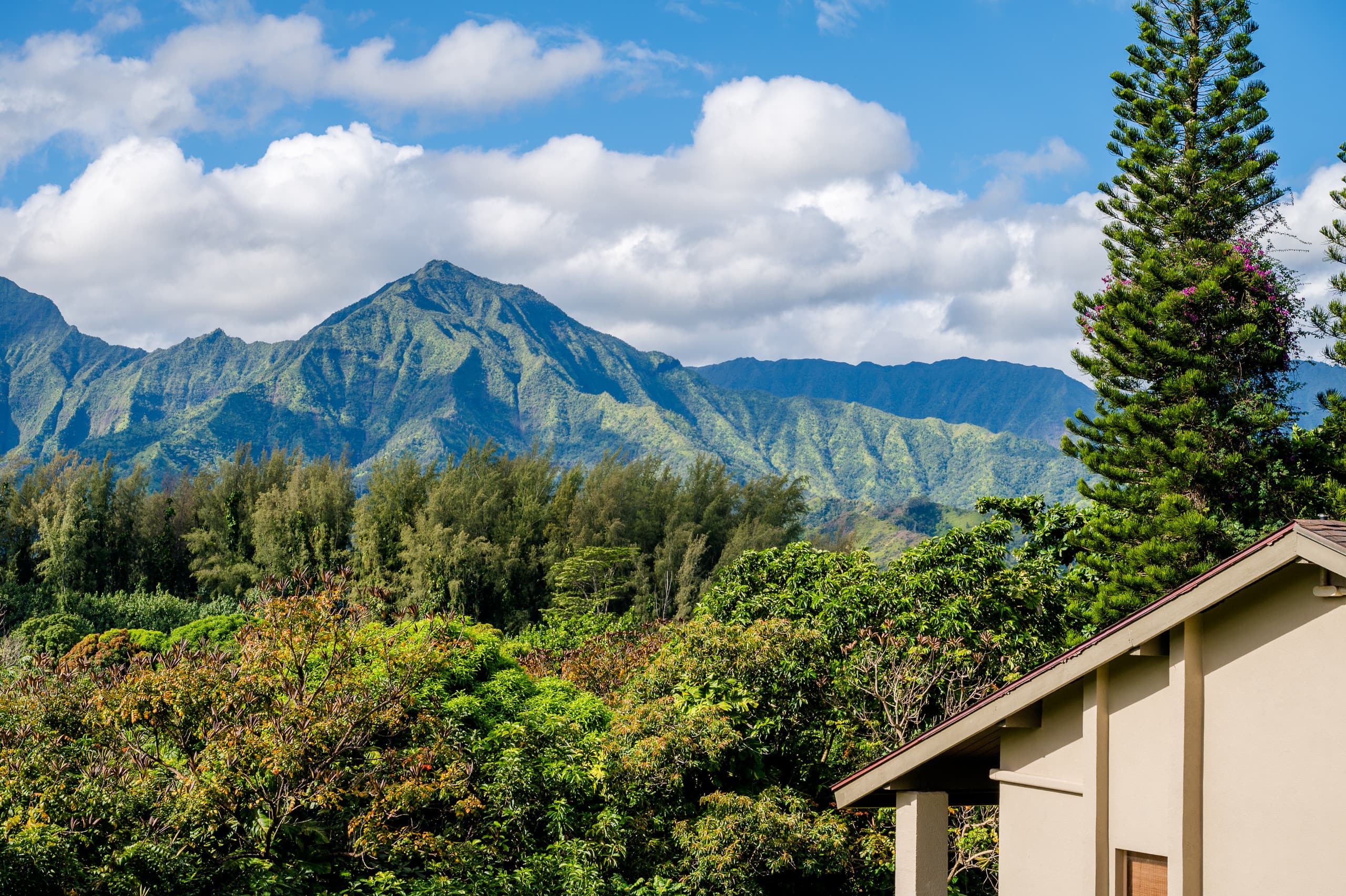 Condo in Princeville · ★4.96 · 1 bedroom · 2 beds · 1 private bath - Image 20