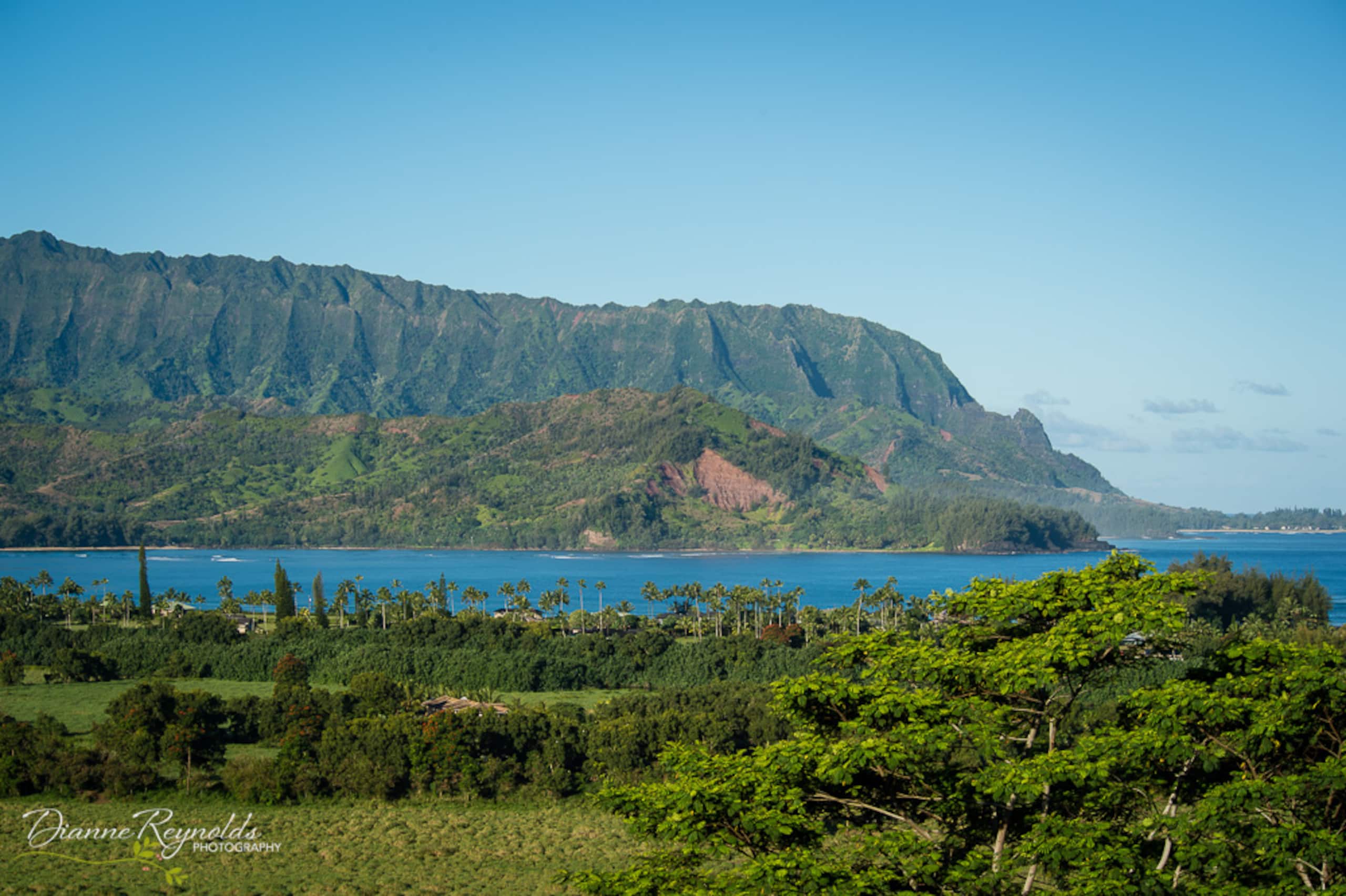 Condo in Princeville · ★4.96 · 1 bedroom · 2 beds · 1 private bath - Image 27