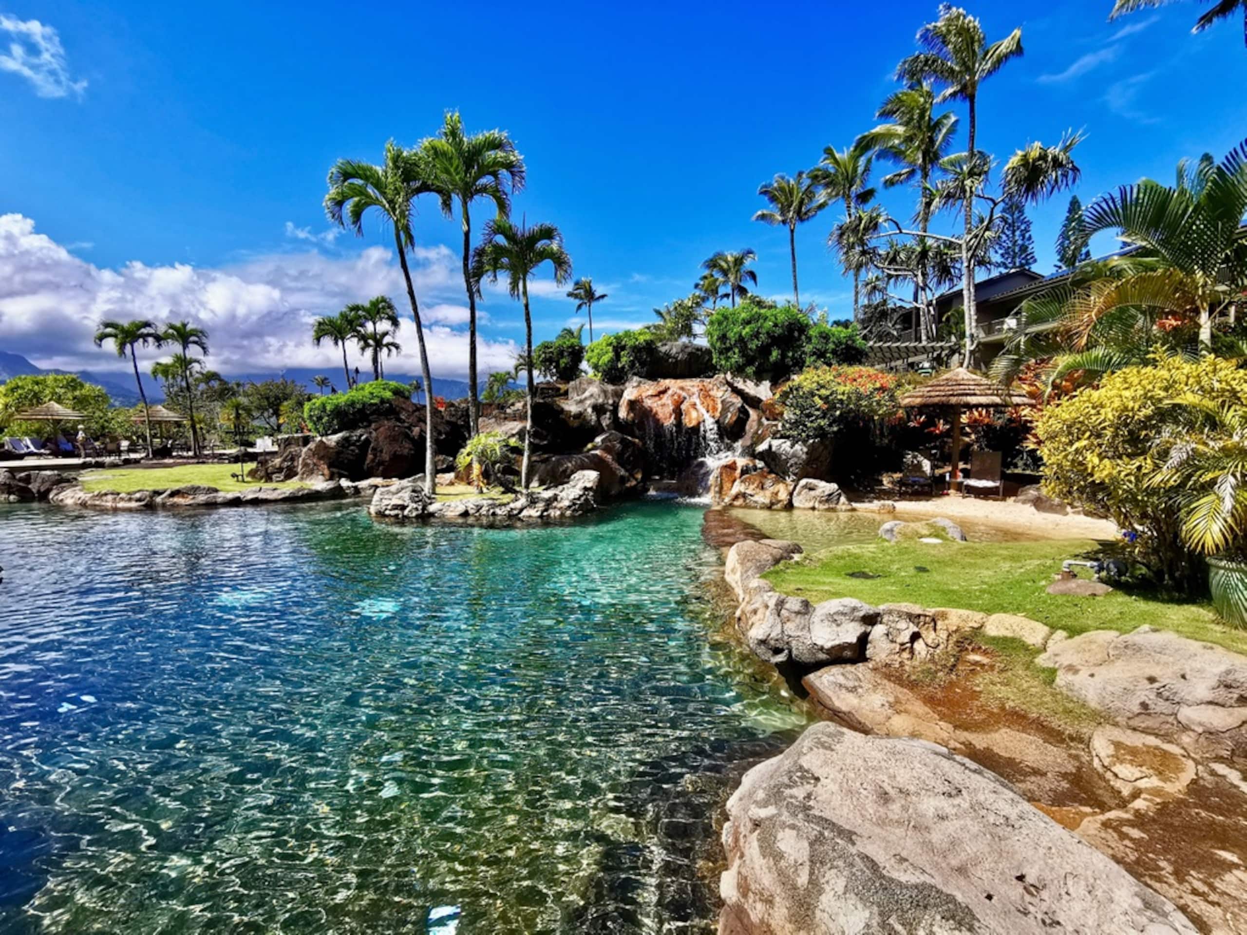 Condo in Princeville · ★4.96 · 1 bedroom · 2 beds · 1 private bath - Image 49