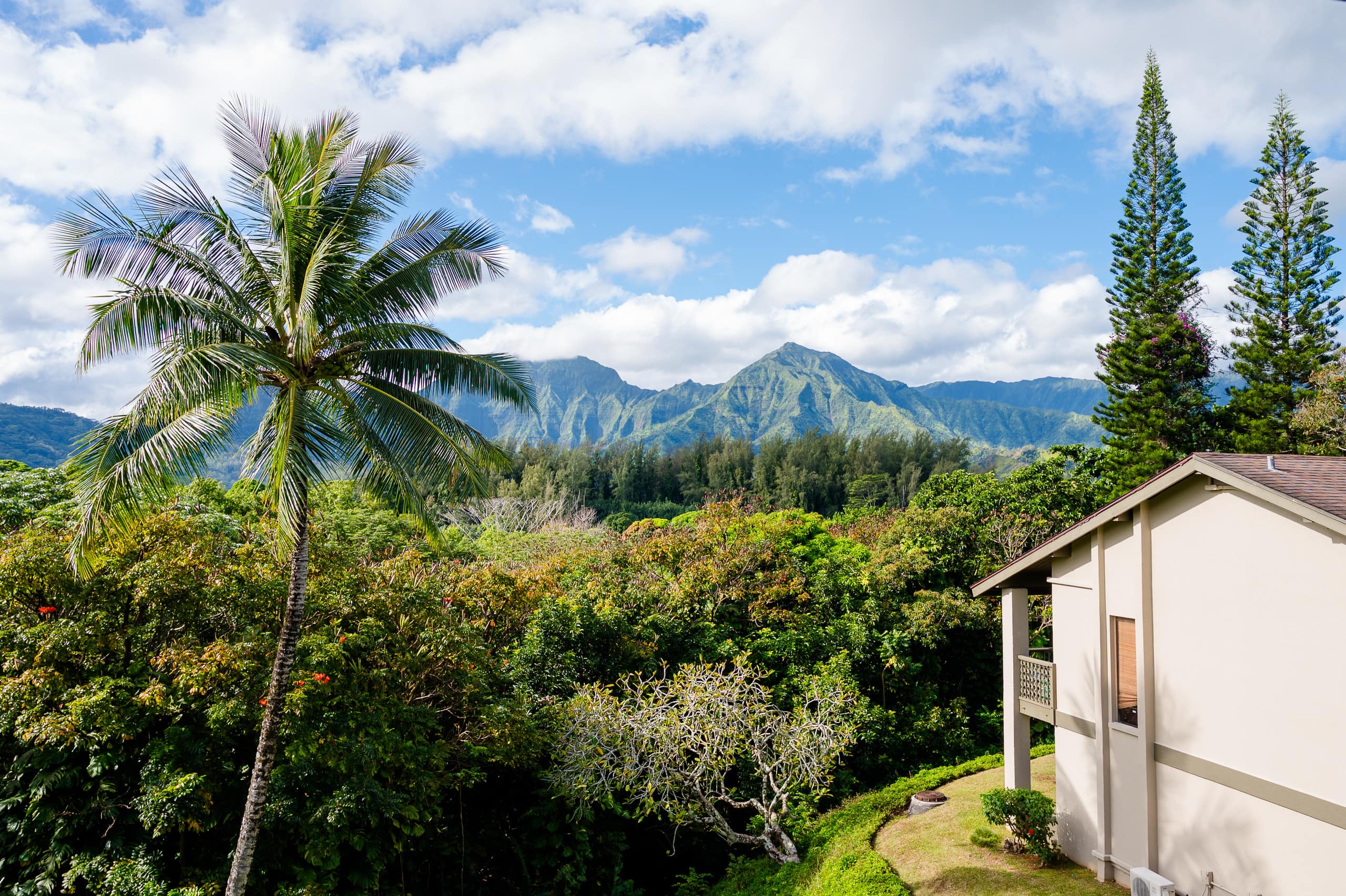 Condo in Princeville · ★4.96 · 1 bedroom · 2 beds · 1 private bath - Image 19