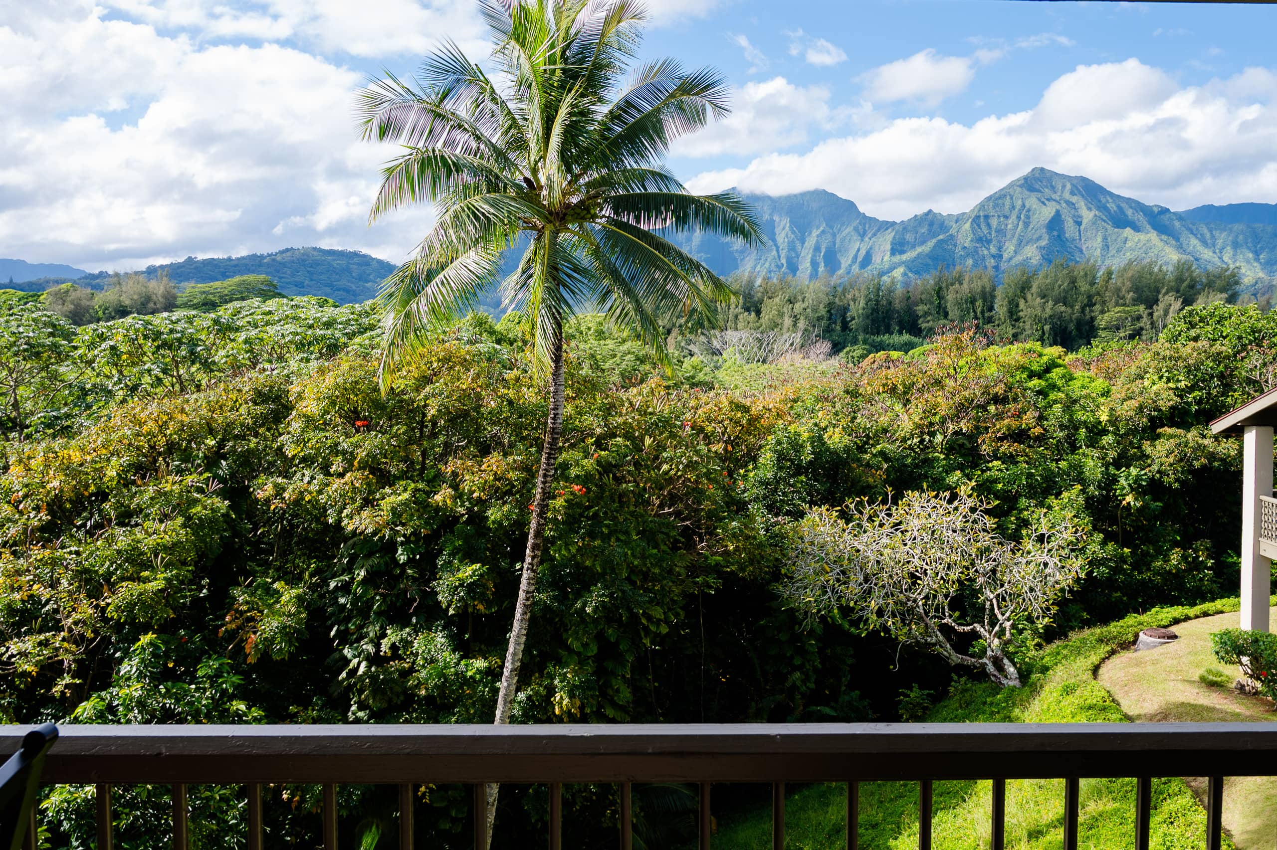 Condo in Princeville · ★4.96 · 1 bedroom · 2 beds · 1 private bath - Image 23