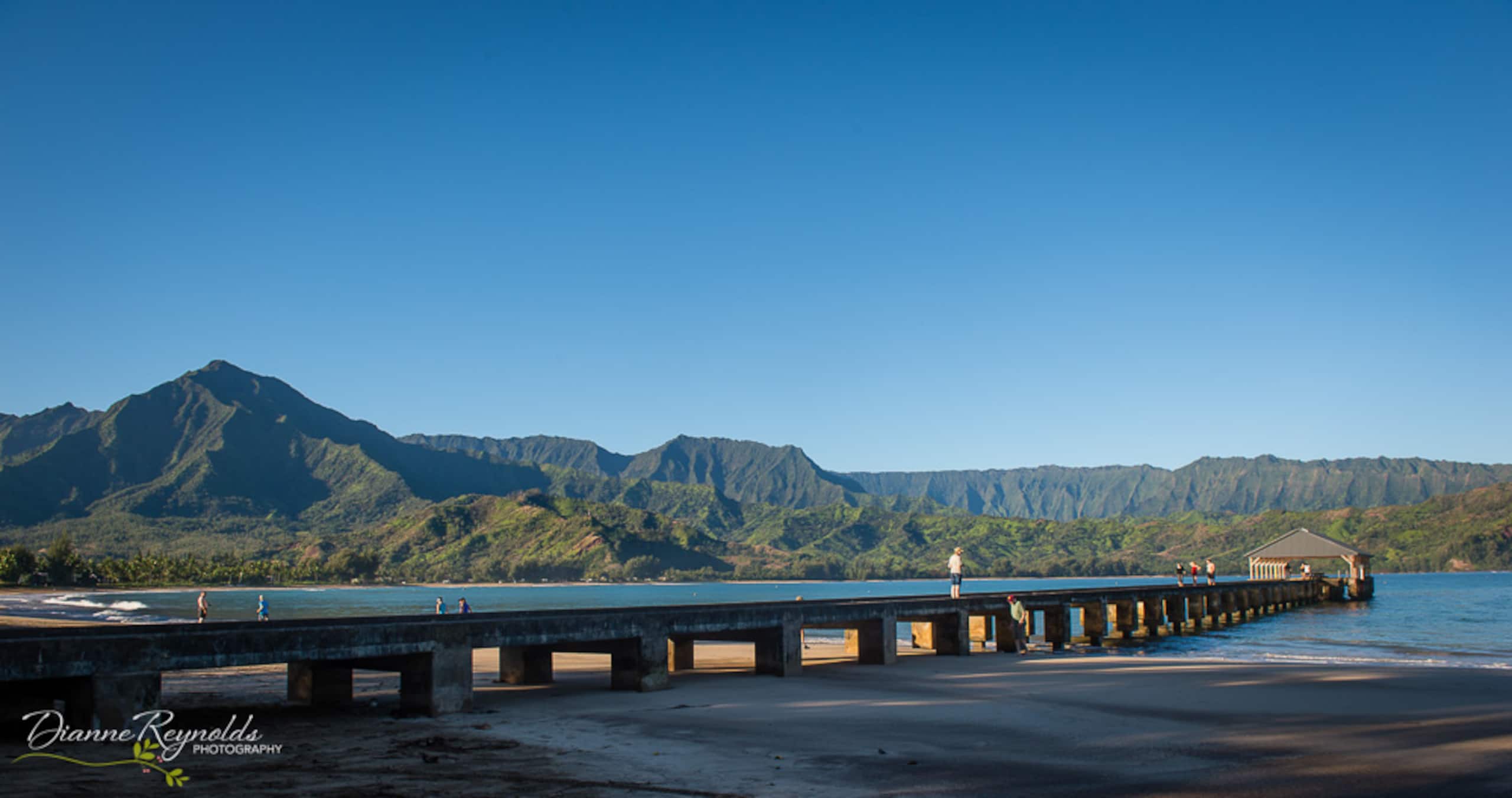 Condo in Princeville · ★4.96 · 1 bedroom · 2 beds · 1 private bath - Image 32