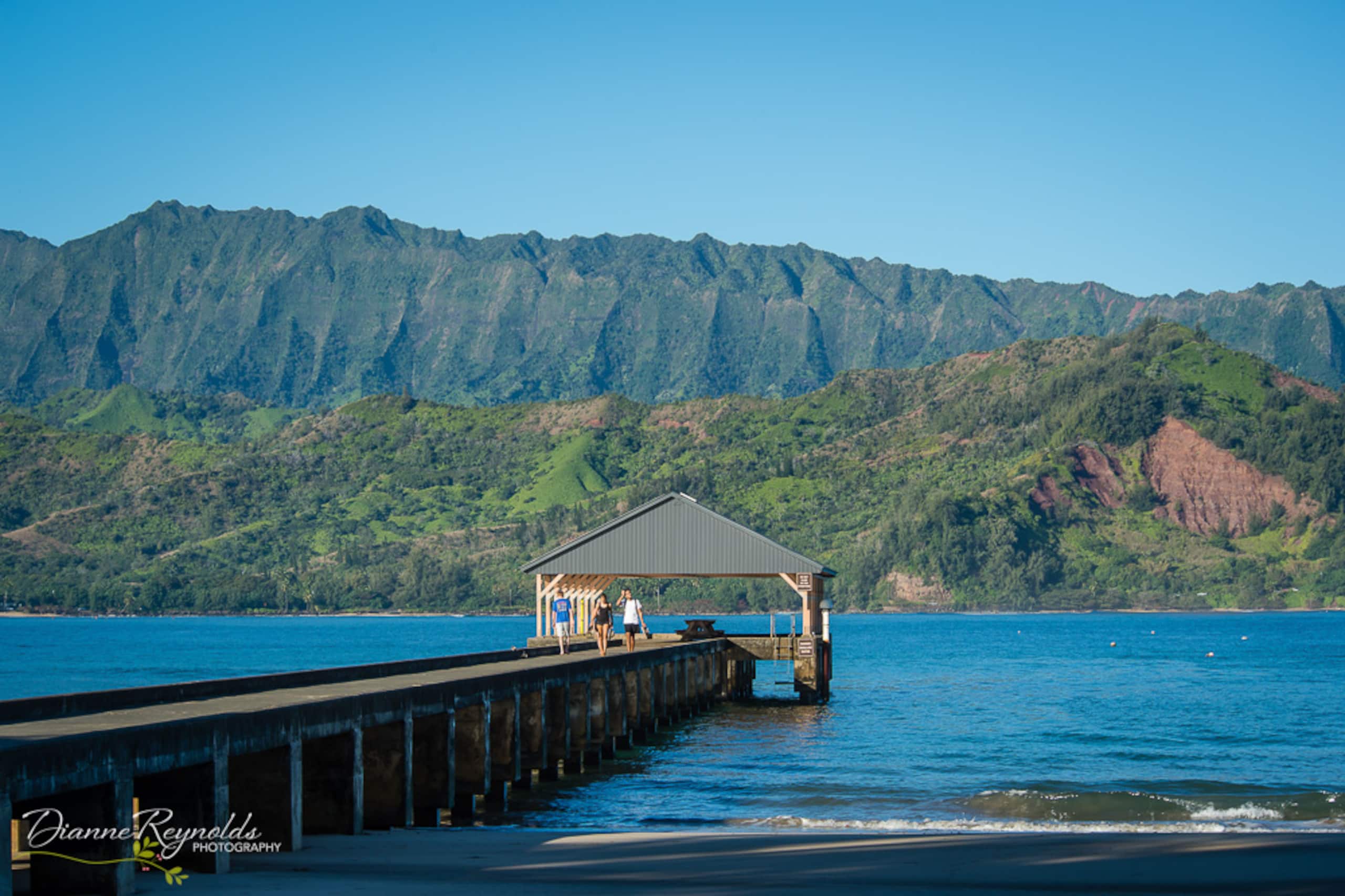 Condo in Princeville · ★4.96 · 1 bedroom · 2 beds · 1 private bath - Image 30