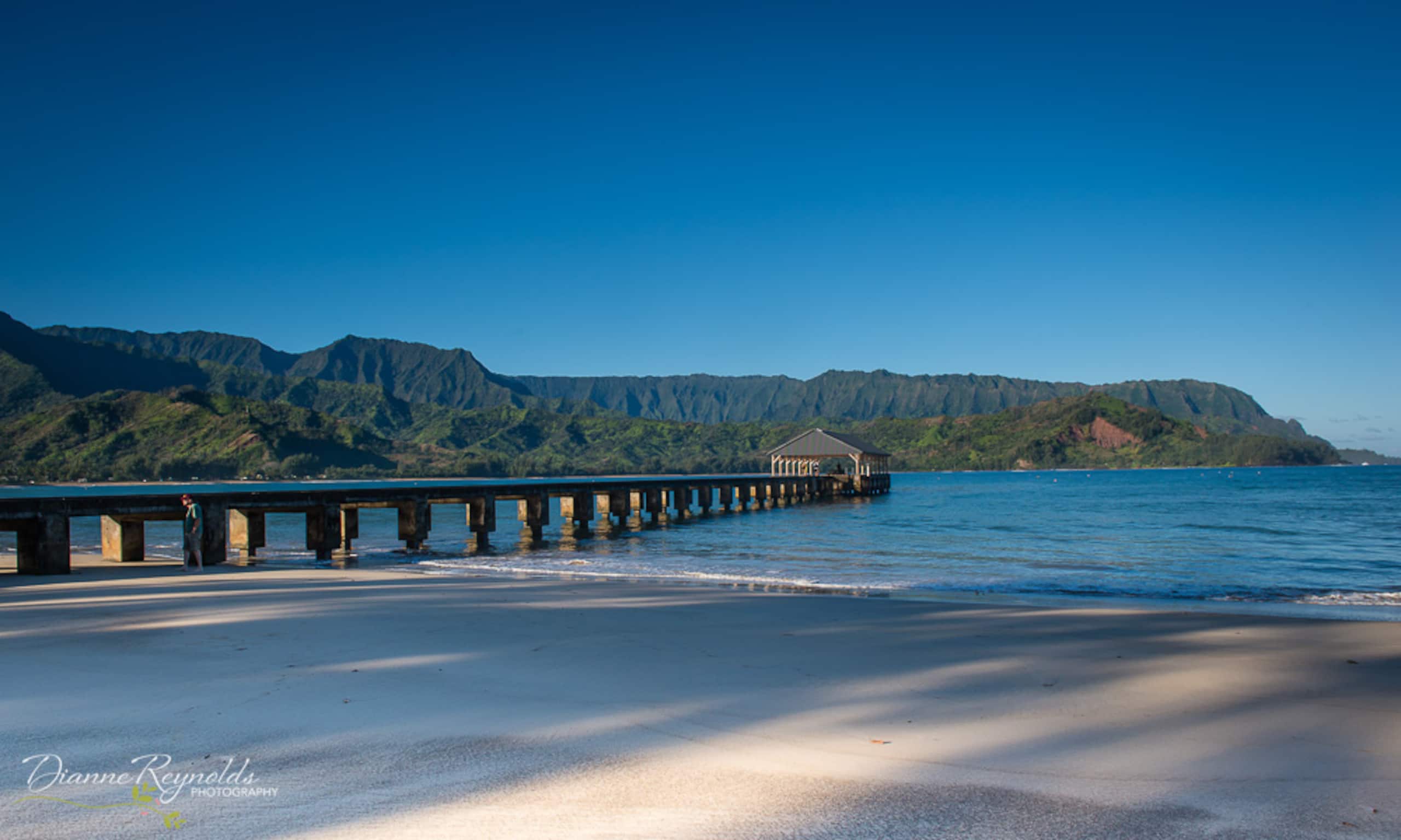 Condo in Princeville · ★4.96 · 1 bedroom · 2 beds · 1 private bath - Image 31