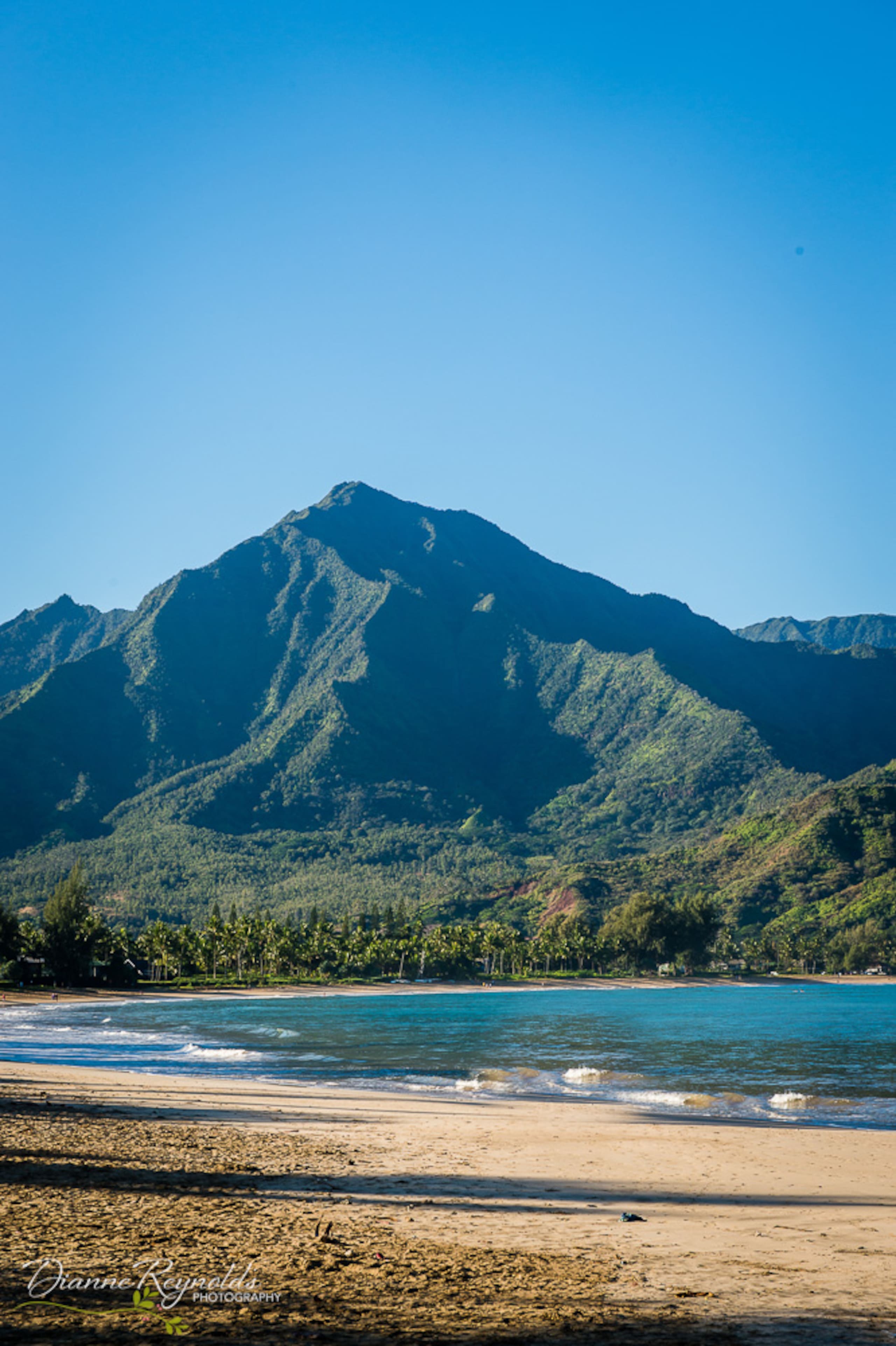 Condo in Princeville · ★4.96 · 1 bedroom · 2 beds · 1 private bath - Image 28