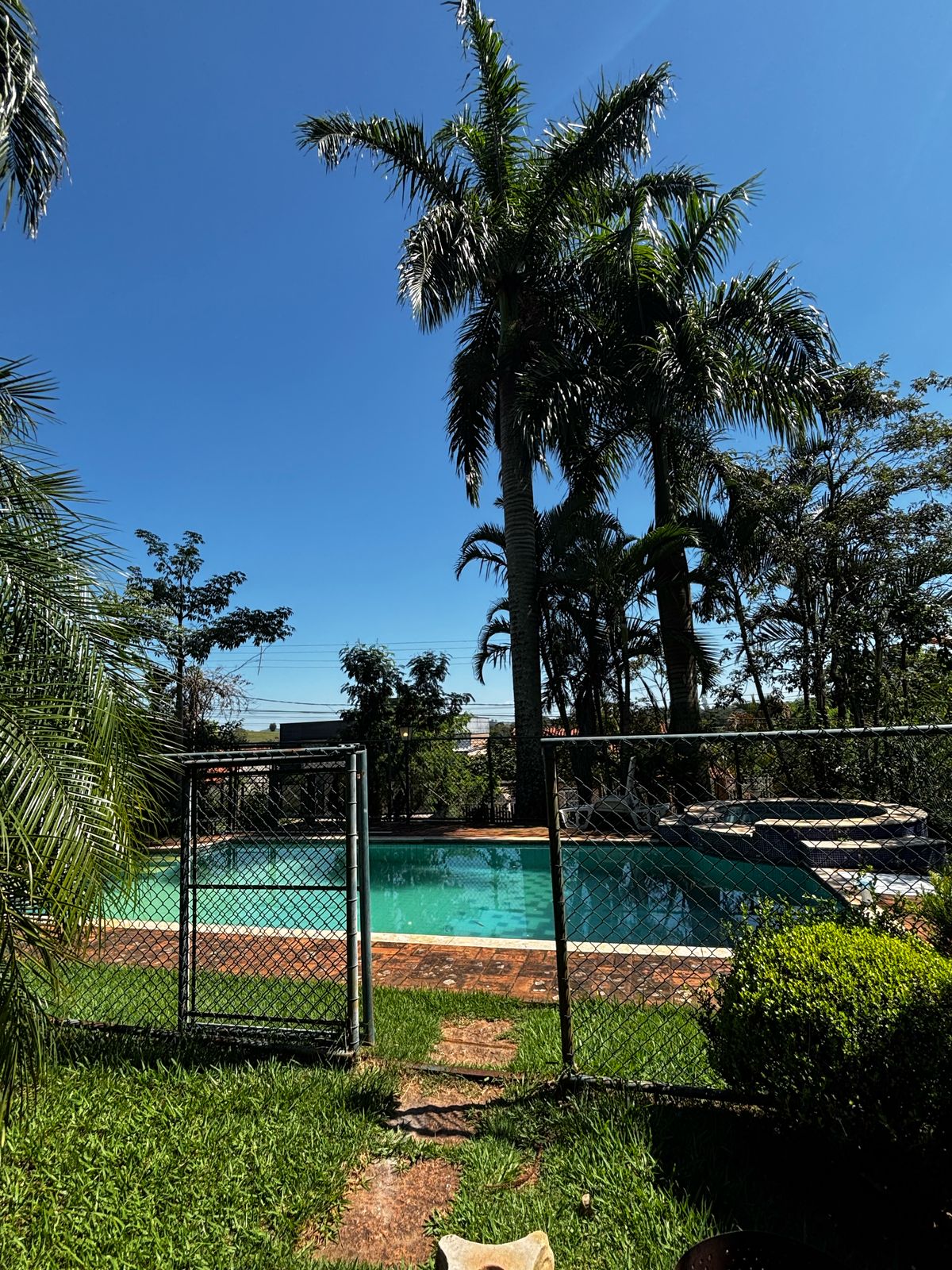 A backyard scene features a fenced swimming pool surrounded by lush greenery, including tall palm trees. The clear blue sky above enhances the tranquil atmosphere, while a path of stepping stones leads toward the pool area. Sunlight reflects off the water, creating a serene setting.