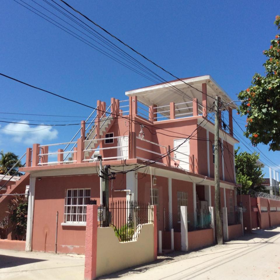 A two-story structure with a pink exterior is featured, showcasing a rooftop terrace with railings. Multiple windows provide natural light, while power lines run along the facade. A small garden area is visible in front, offering a welcoming approach to the building.