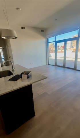 Luxury French Quarter Penthouse