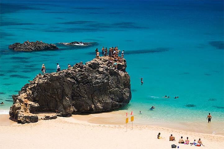 Nalu’s Island Home gallery image 5