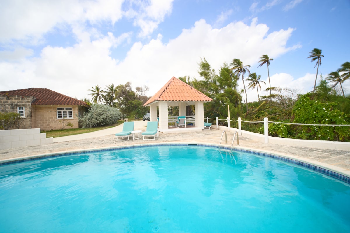A central pool area is surrounded by colorful lounge chairs and a shaded gazebo. Lush greenery frames the space, with palm trees gently swaying in the background against a cloudy sky.