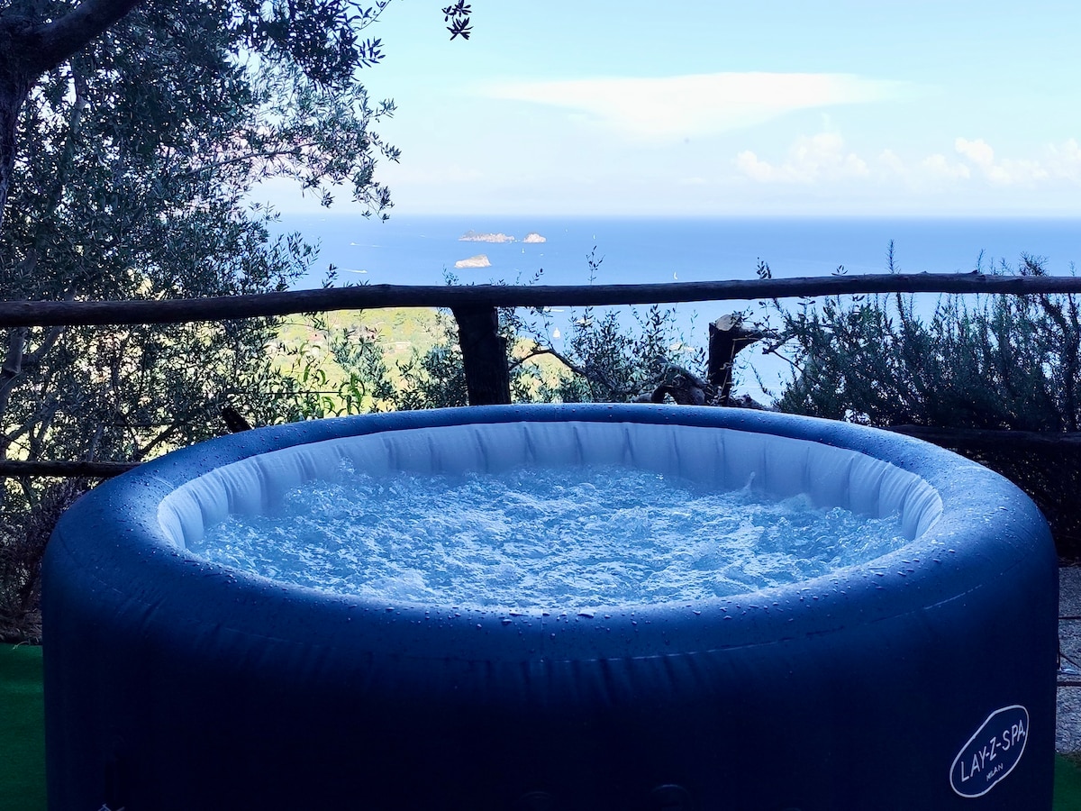 A private hot tub is set in a serene outdoor area, surrounded by lush greenery. The view showcases the expansive sea and distant islands, providing a peaceful backdrop for relaxation. The hot tub's water is gently bubbling, inviting moments of tranquility.