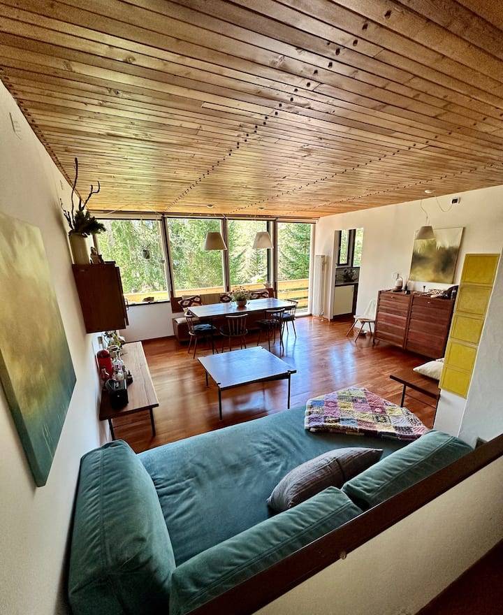 Ca’mugo, A Chalet In The Magic Woods, Near Cortina - Borca di Cadore