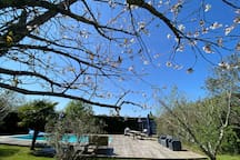 Villa Coco - jardin et piscine chauffée