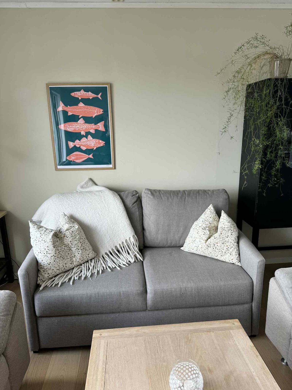 Кауч на спуштање од 120 см