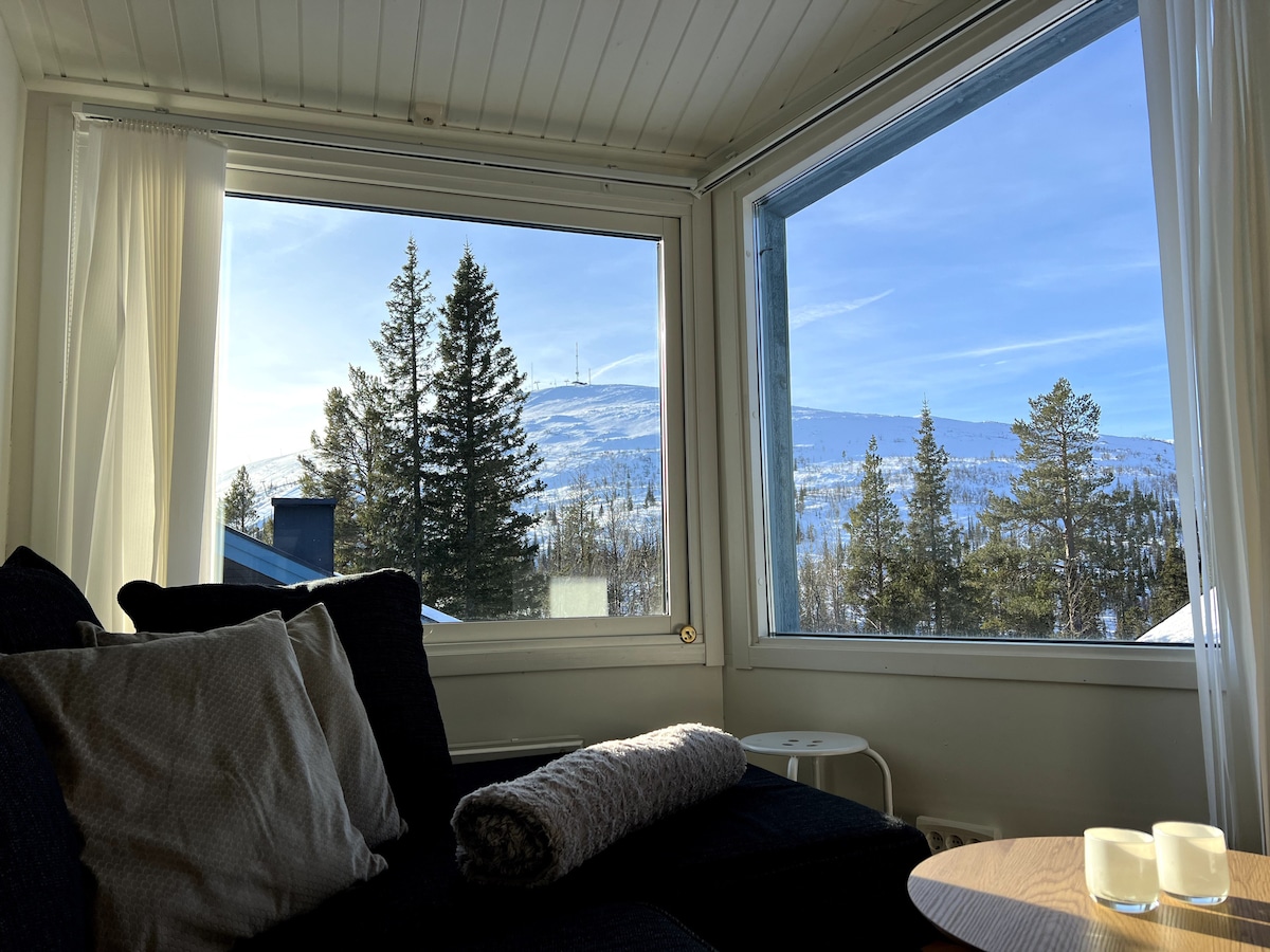 Large windows frame a scenic view of the mountain, allowing natural light to fill the living area. A cozy seating area with cushions offers a comfortable spot to enjoy the picturesque landscape outside, where pine trees add to the serene atmosphere.