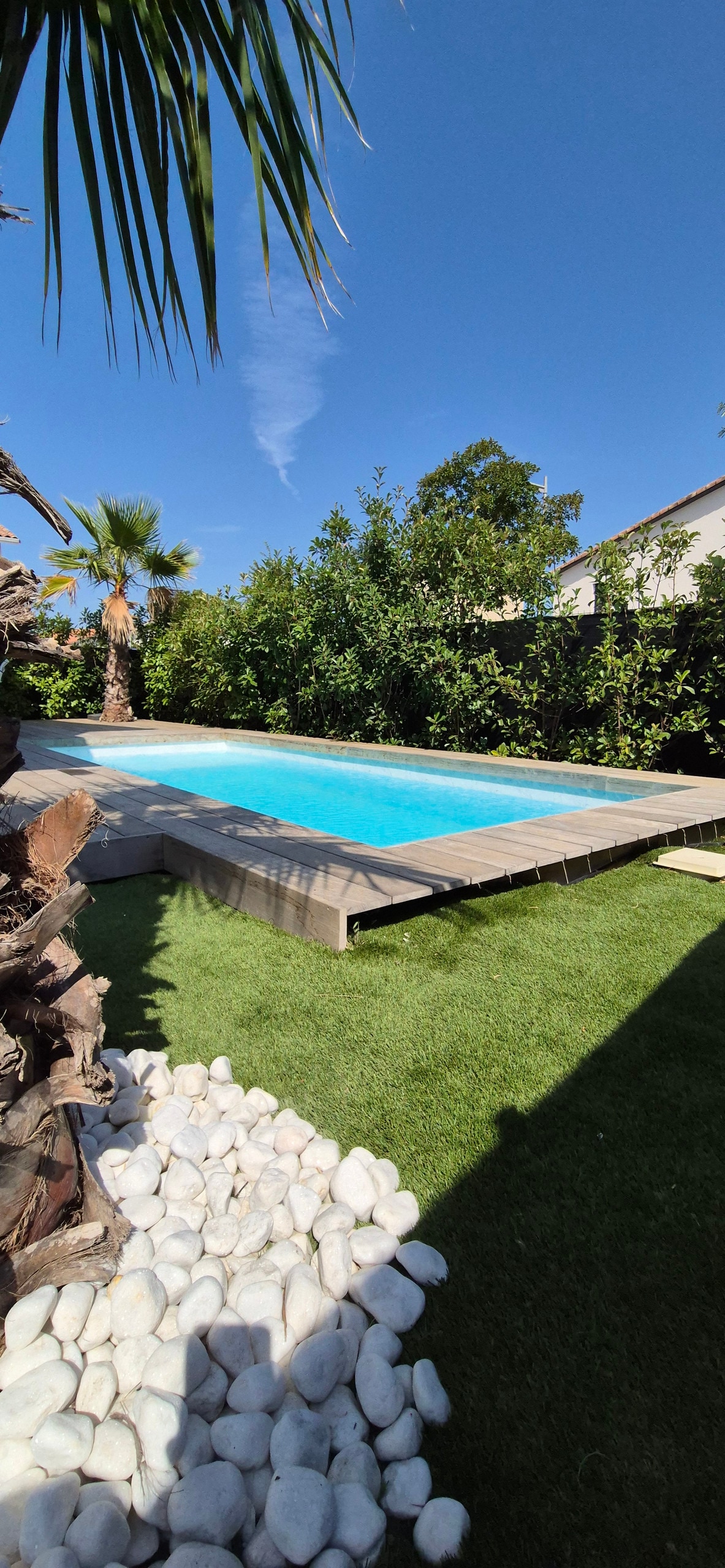 A serene outdoor space features a swimming pool surrounded by lush greenery and palm trees. A wooden deck extends alongside the pool, while smooth white stones are placed on one side, contrasting with the vibrant grass.