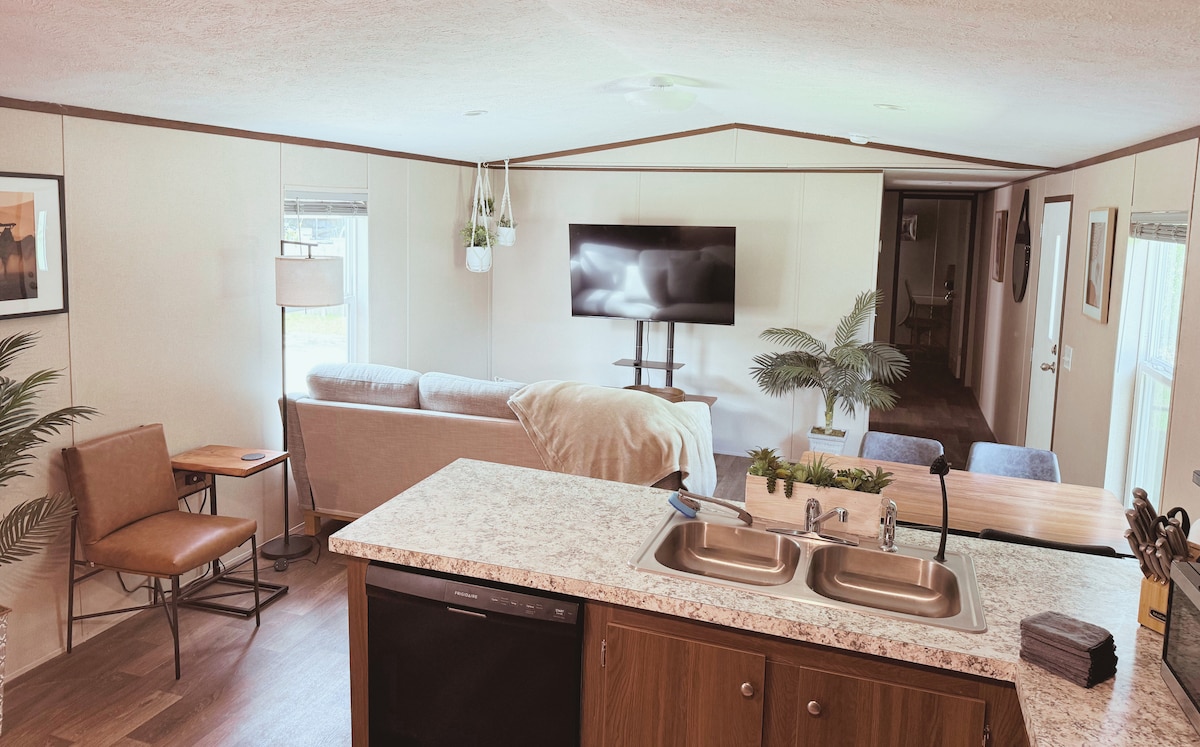 An open living area features a comfortable sofa arranged facing a wall-mounted television. A light-colored throw drapes over the couch, complemented by potted plants on a side table. The kitchen area, visible in the foreground, includes a double sink and a textured countertop.
