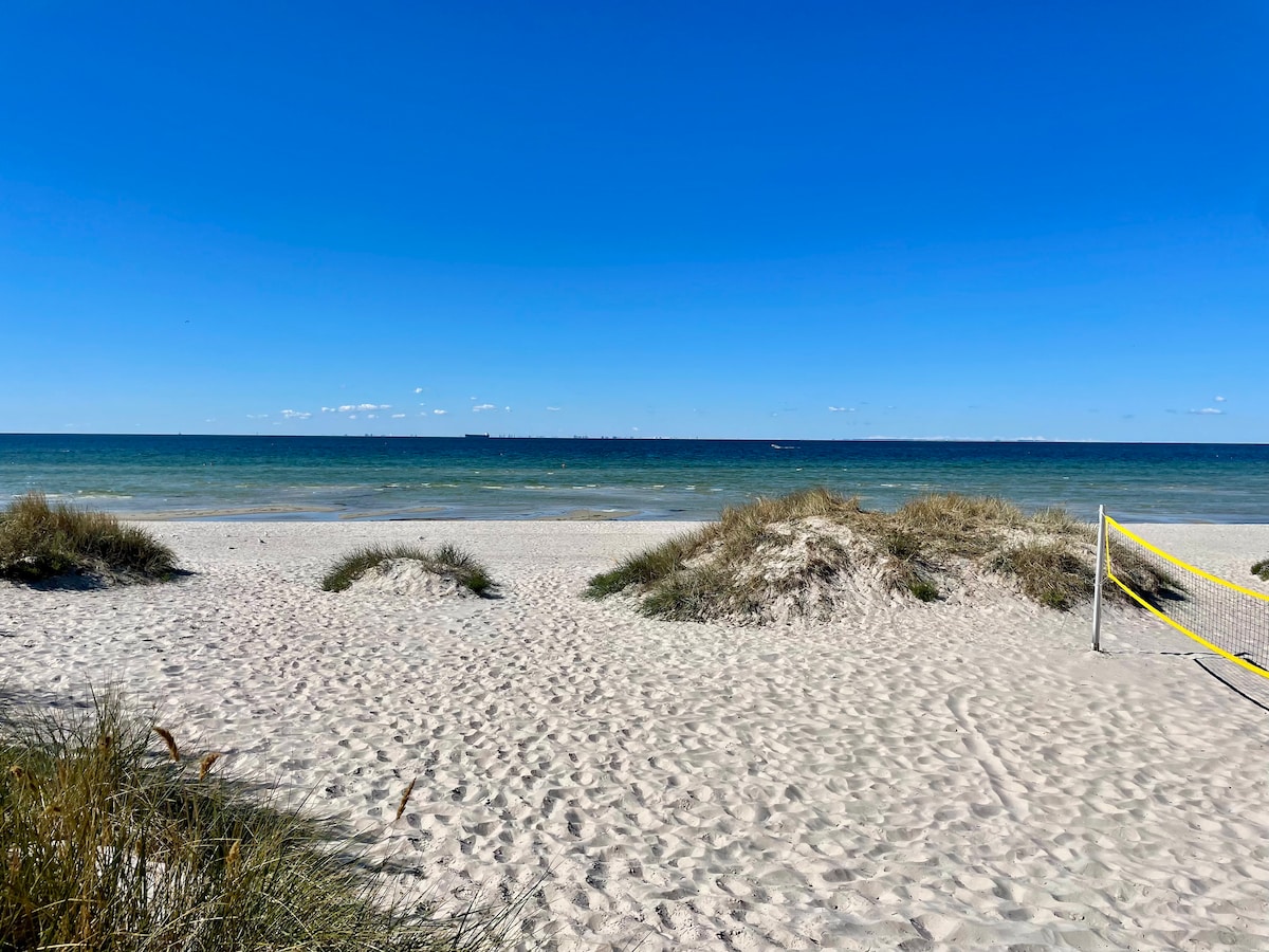 A sandy beach landscape stretches under a clear blue sky. Gentle waves can be seen lapping along the shoreline, with patches of grassy dunes adding texture to the scene. A volleyball net is visible in the foreground, suggesting a recreational area.