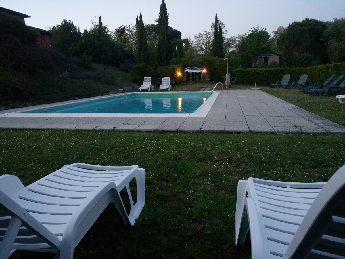 The outdoor swimming pool area features a large rectangular pool surrounded by a tiled deck. Several lounge chairs are positioned around the pool, with greenery provided by trees and hedges in the background. The setting is tranquil, suitable for relaxation.