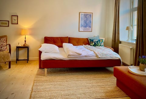 Successful Airbnb property: In the old town centre, 200m from the harbour bath in Region Syddanmark