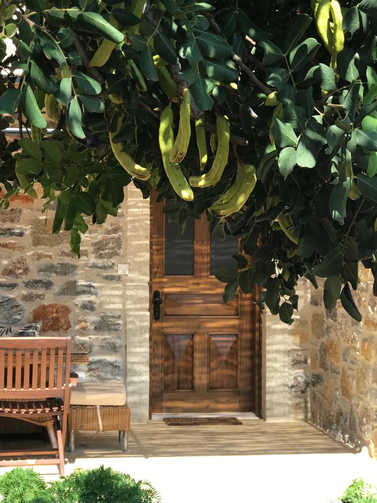A wooden door, framed by lush green leaves, leads to a stone house. The entrance displays a welcome mat and is flanked by a small seating area with wooden furniture, creating a serene outdoor space surrounded by nature.