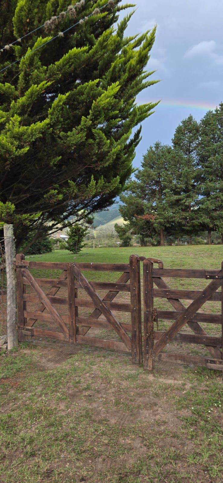A rustic wooden gate stands ajar, framed by tall evergreen trees and vibrant grass. A gentle slope of land can be seen beyond the gate, with hints of mountains visible in the background under a cloudy sky.