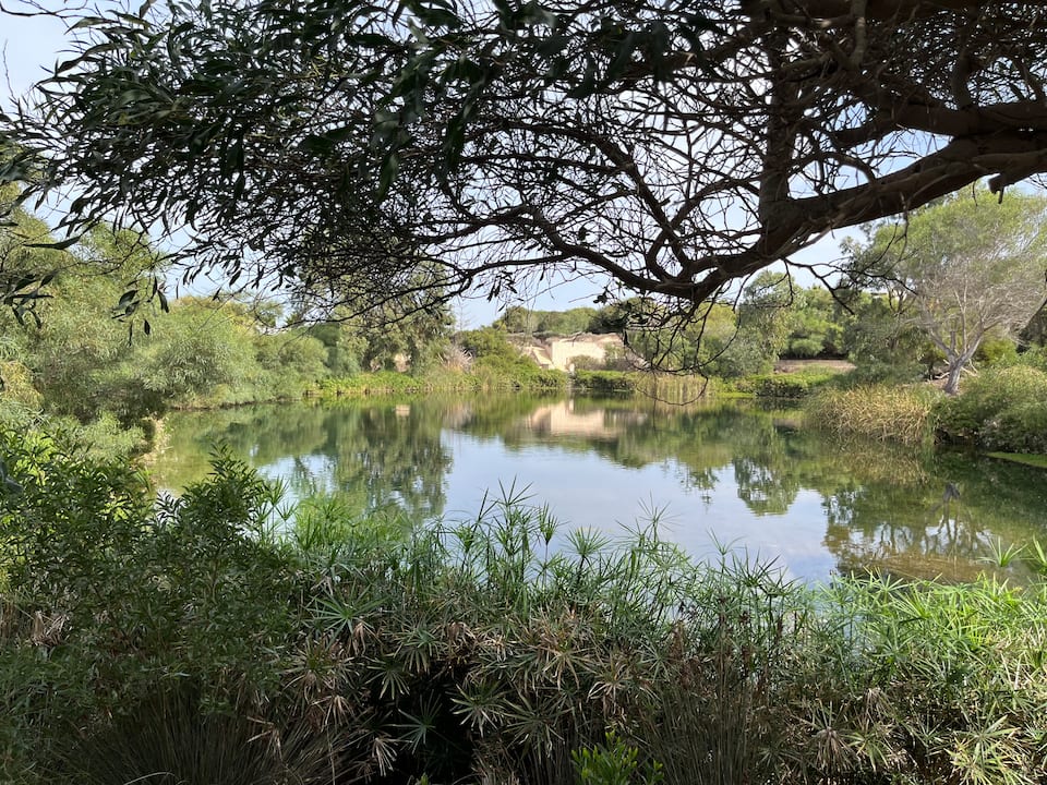 Villa Saouira on the Essaouira golf estate, Essaouira, Marrakesh-Safi, Morocco, photo 2 of 10