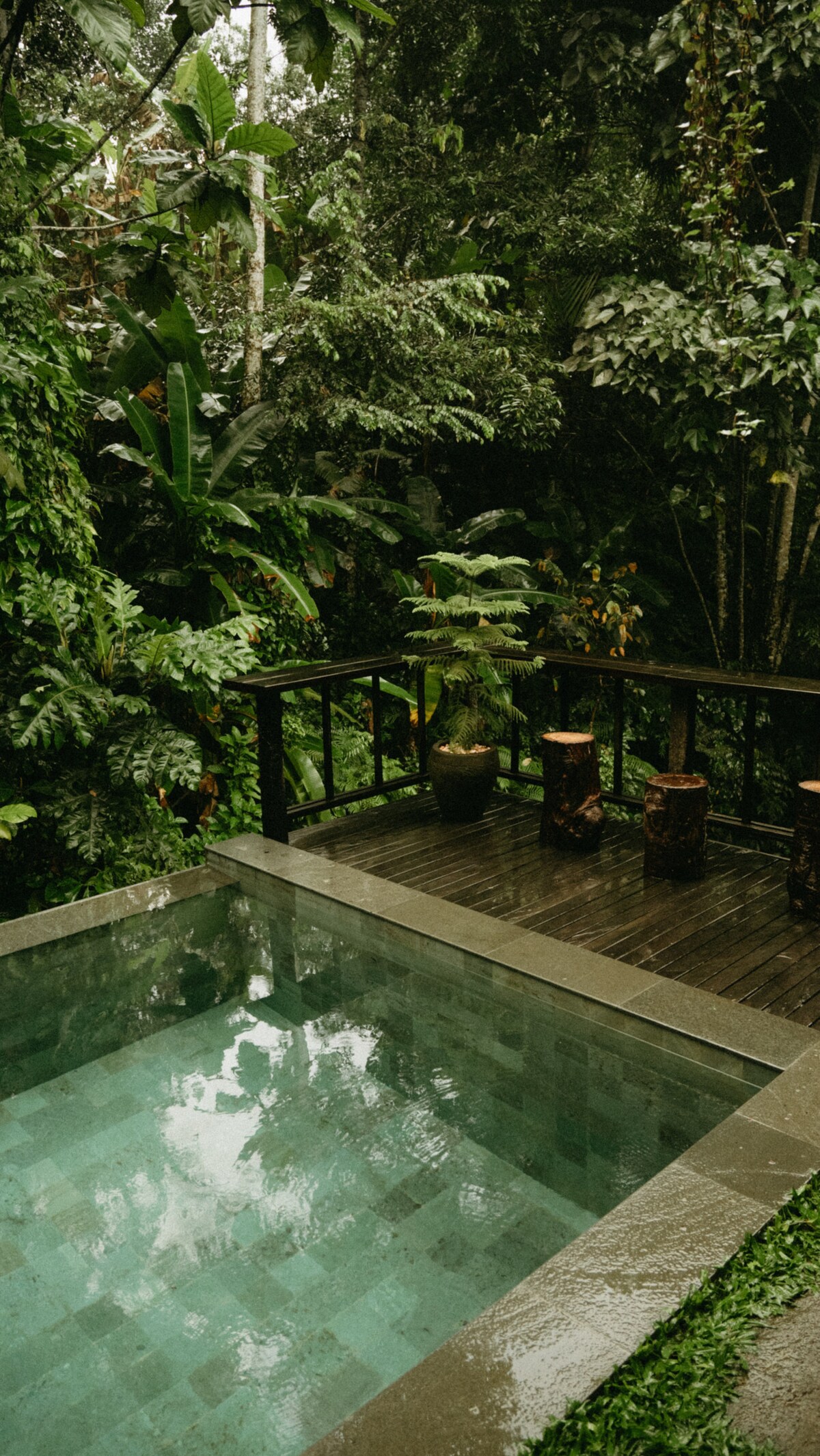 An inviting infinity pool sits among lush greenery, with a wooden deck surrounded by various tropical plants. Natural wood stools are placed nearby, adding a rustic touch to the serene environment. The tranquil scene offers a perfect escape into nature.