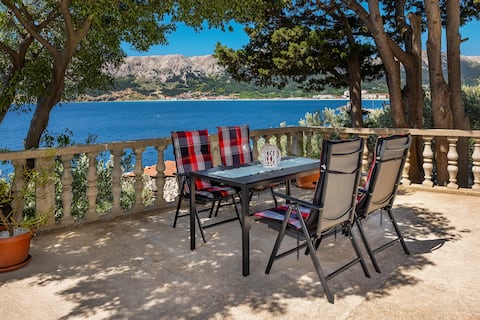 Apartment Igor with Terrace